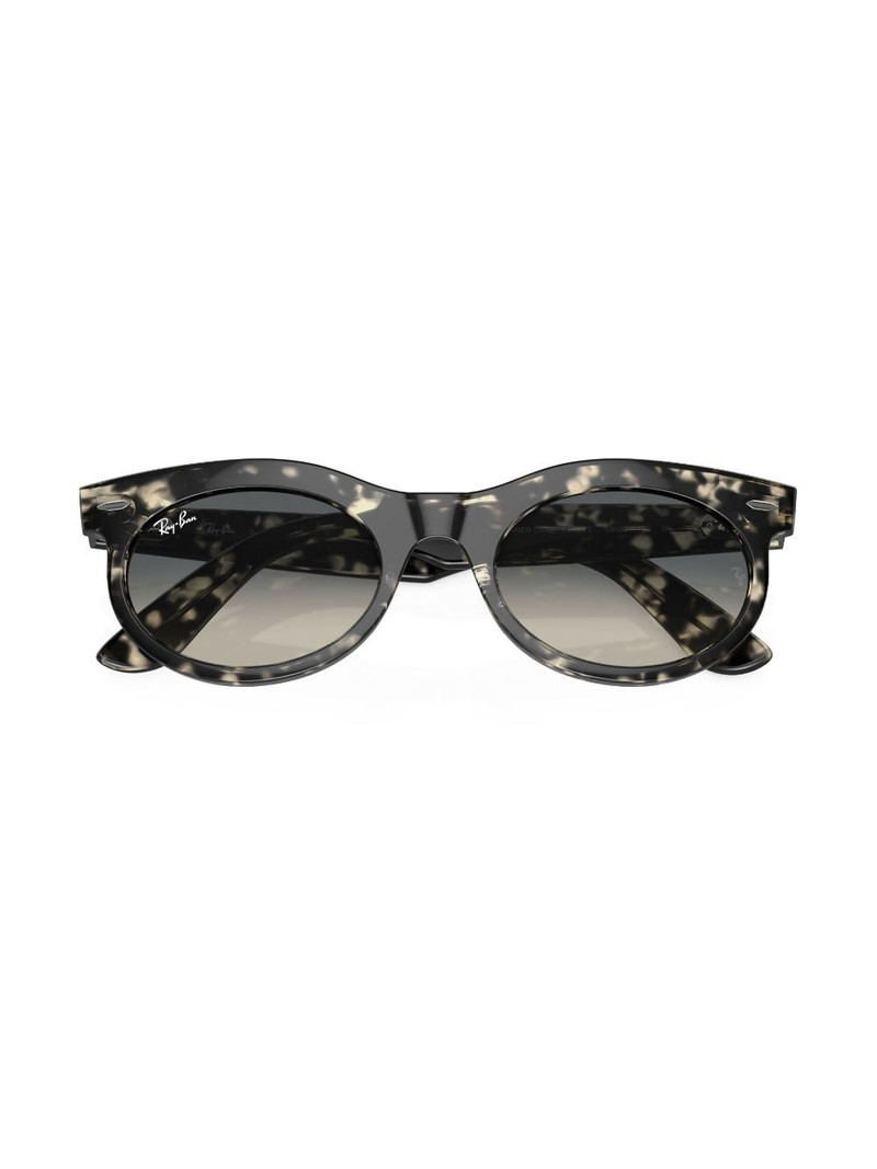Wayfarer Oval oval-frame sunglasses 5