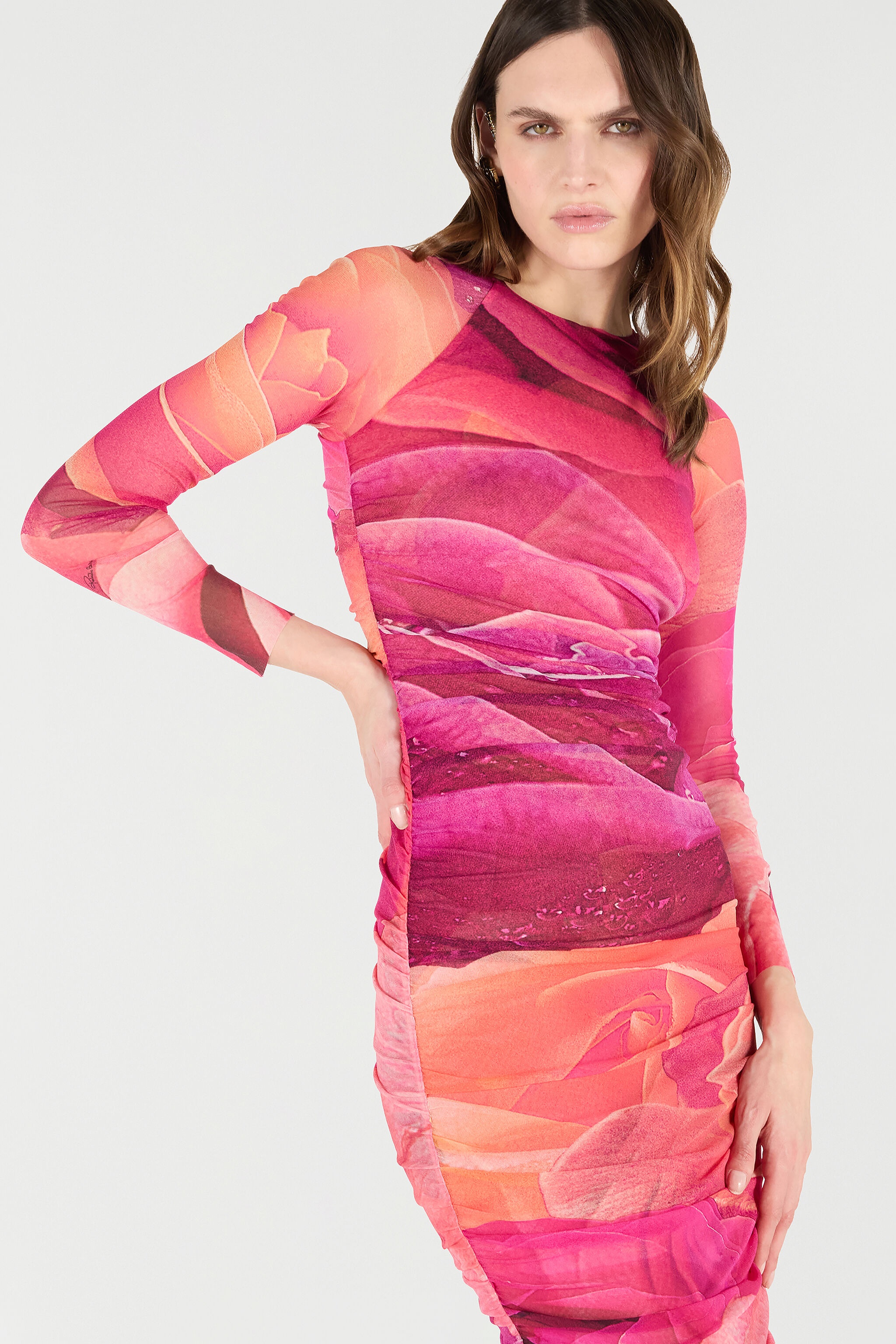 Sheath Dress With Rose Print - 7