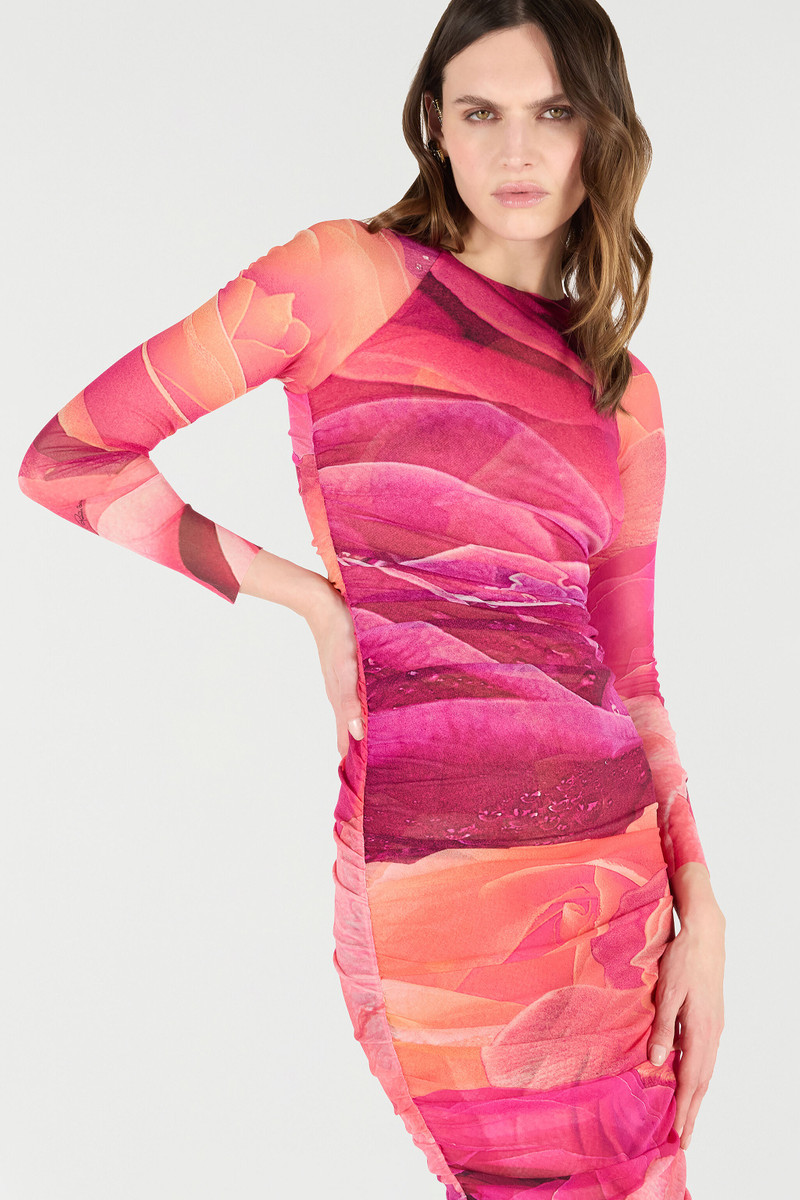 Sheath Dress With Rose Print 7