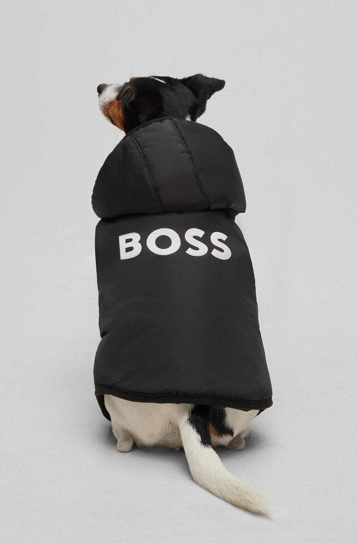 DOG LIGHTWEIGHT JACKET WITH LOGO DETAILING - 6