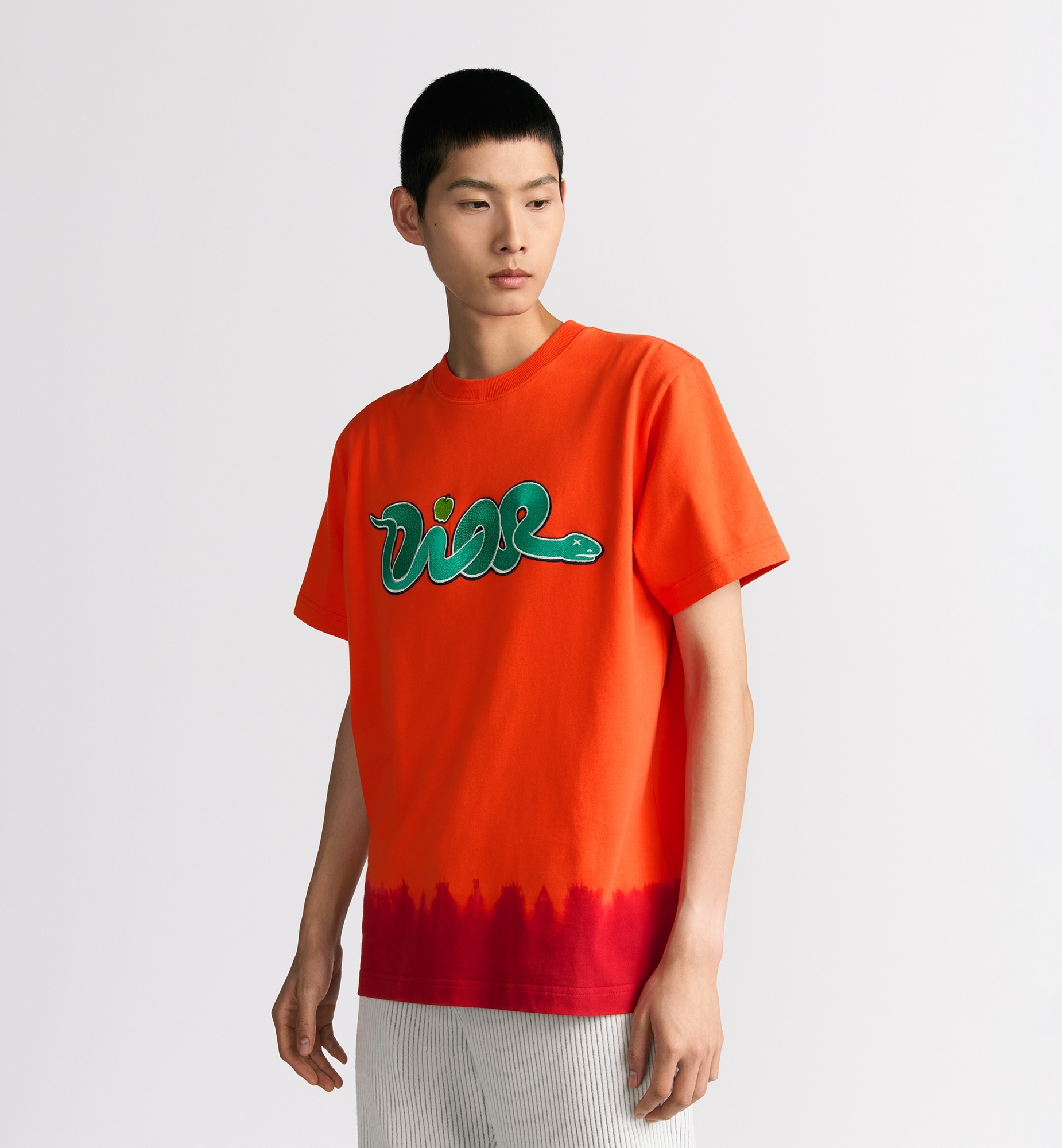 DIOR AND KAWS T-Shirt, Relaxed Fit - 2