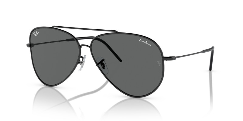 LENNY KRAVITZ X AVIATOR REVERSE 1