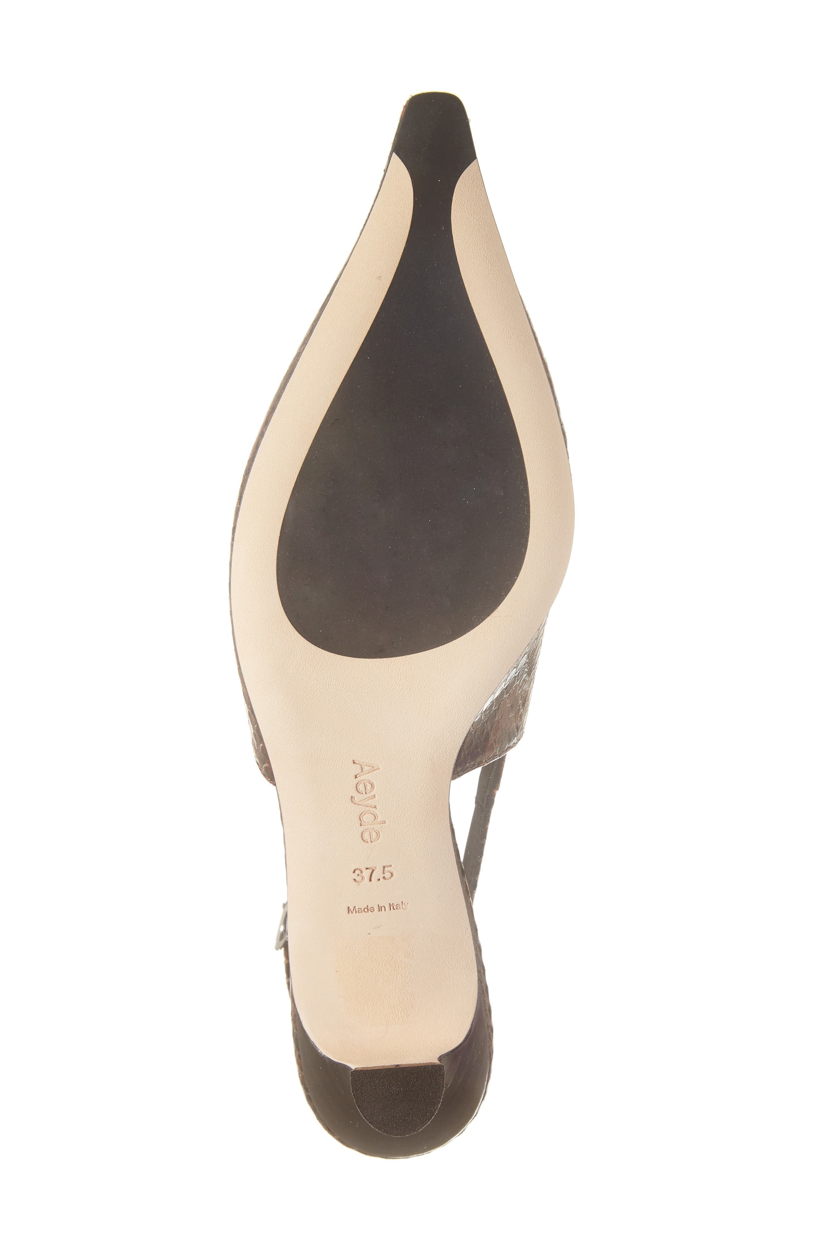 aeyde Catrina Pointed Toe Pump in Moka at Nordstrom - 6