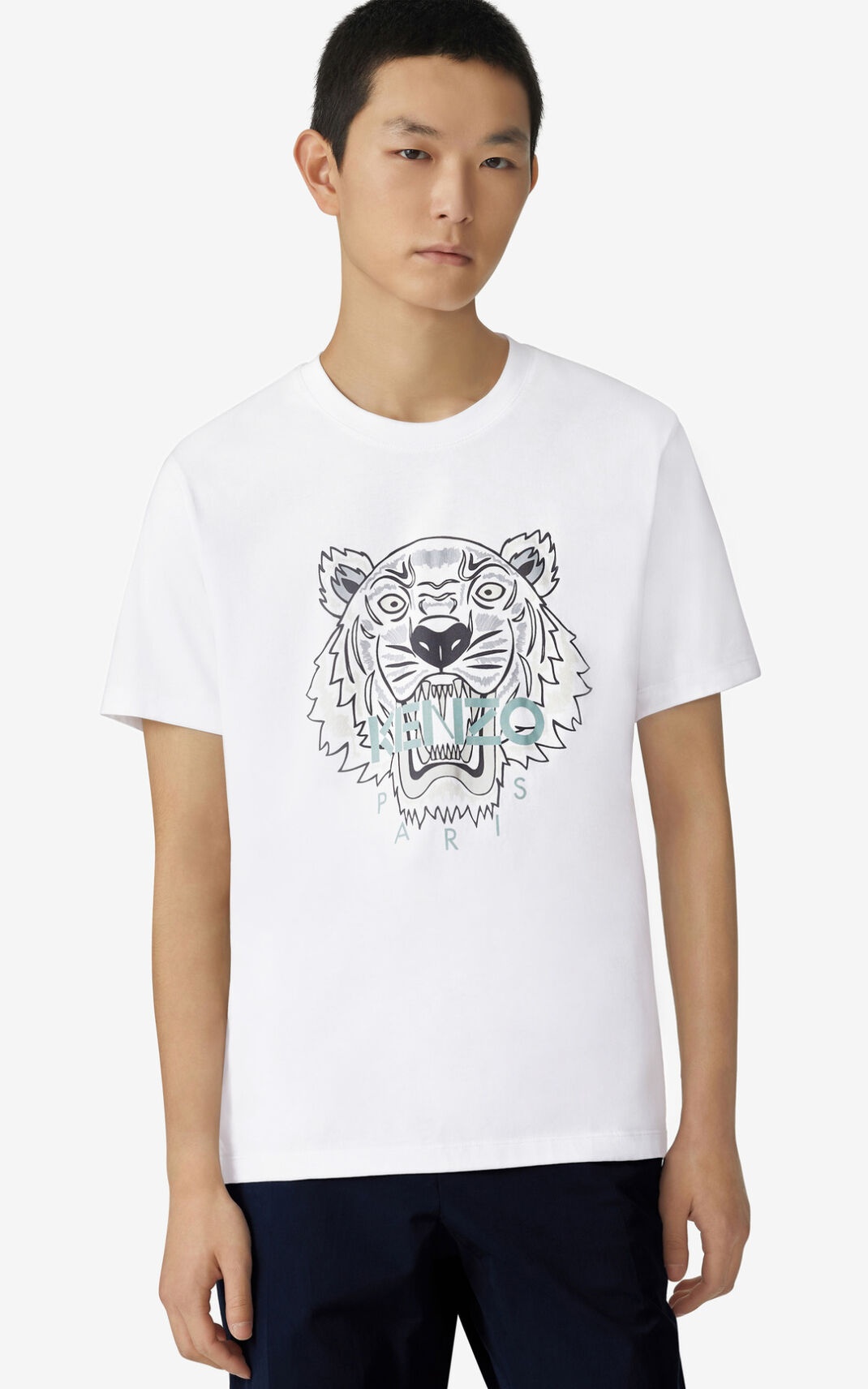 Tiger t-shirt - 2