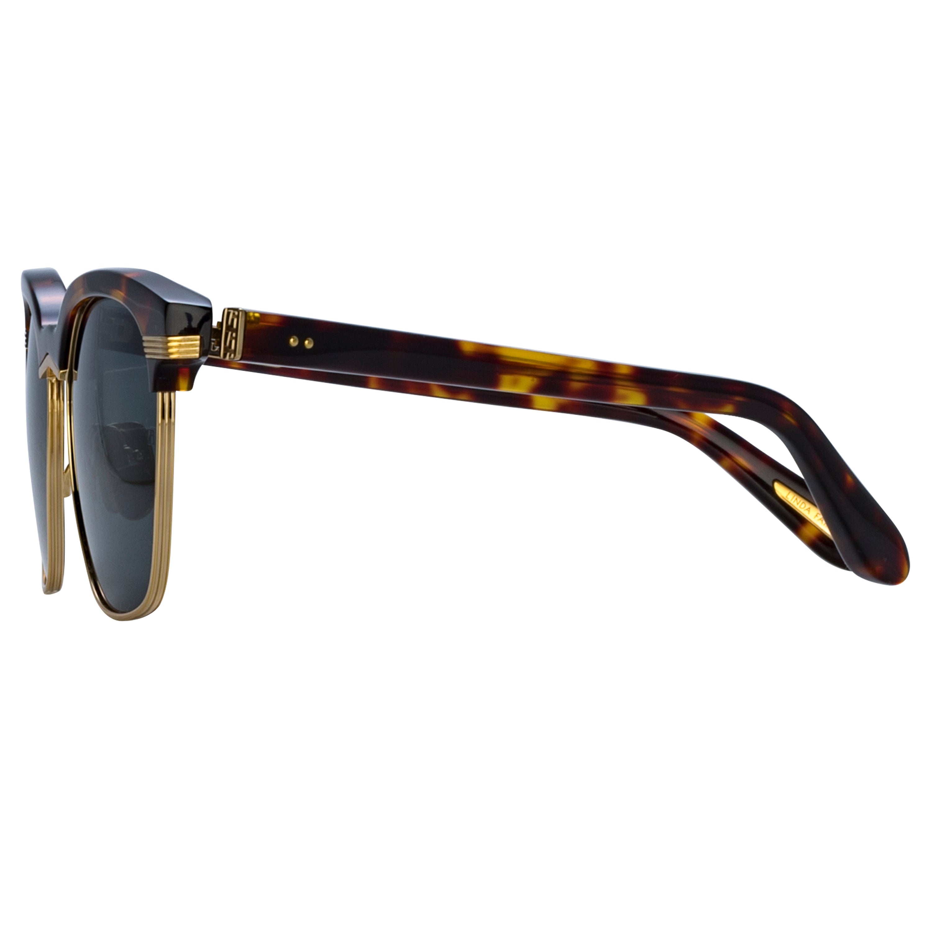 Darin Sunglasses in Dark Tortoiseshell - 4