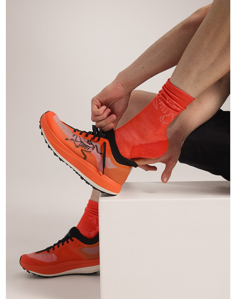 Arc'teryx Merino Wool Mid Bird Sock outlook