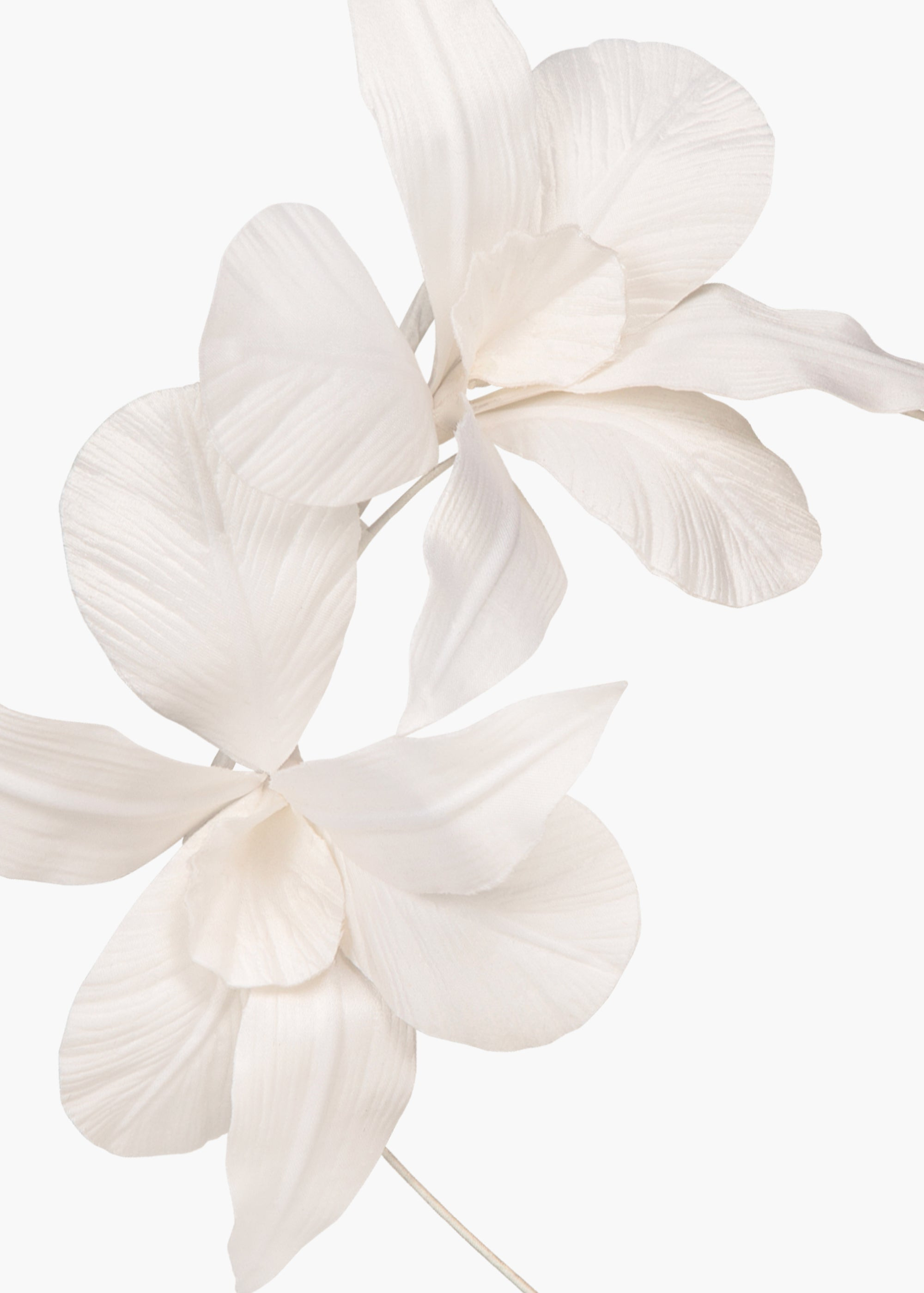Orchid Vine Headband - 6