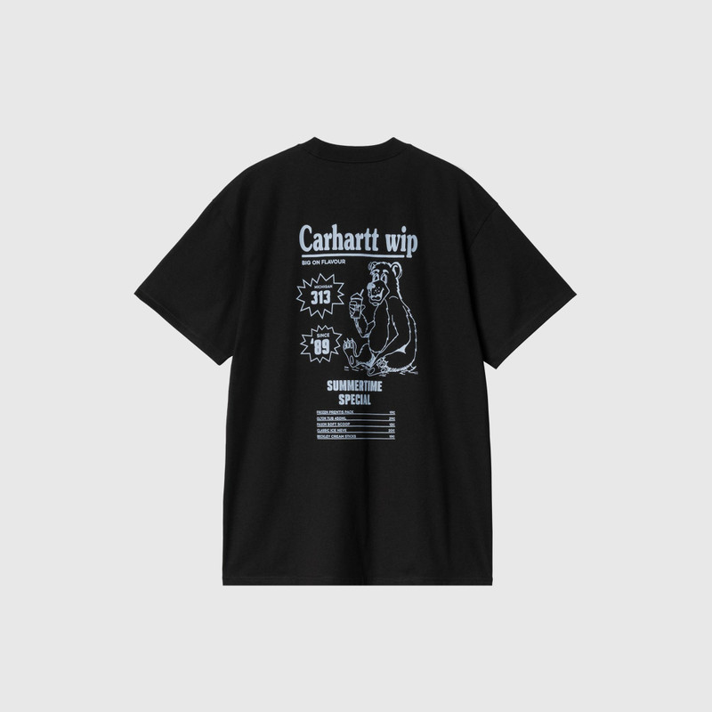 Carhartt CATALOGUE S/S T-SHIRT outlook