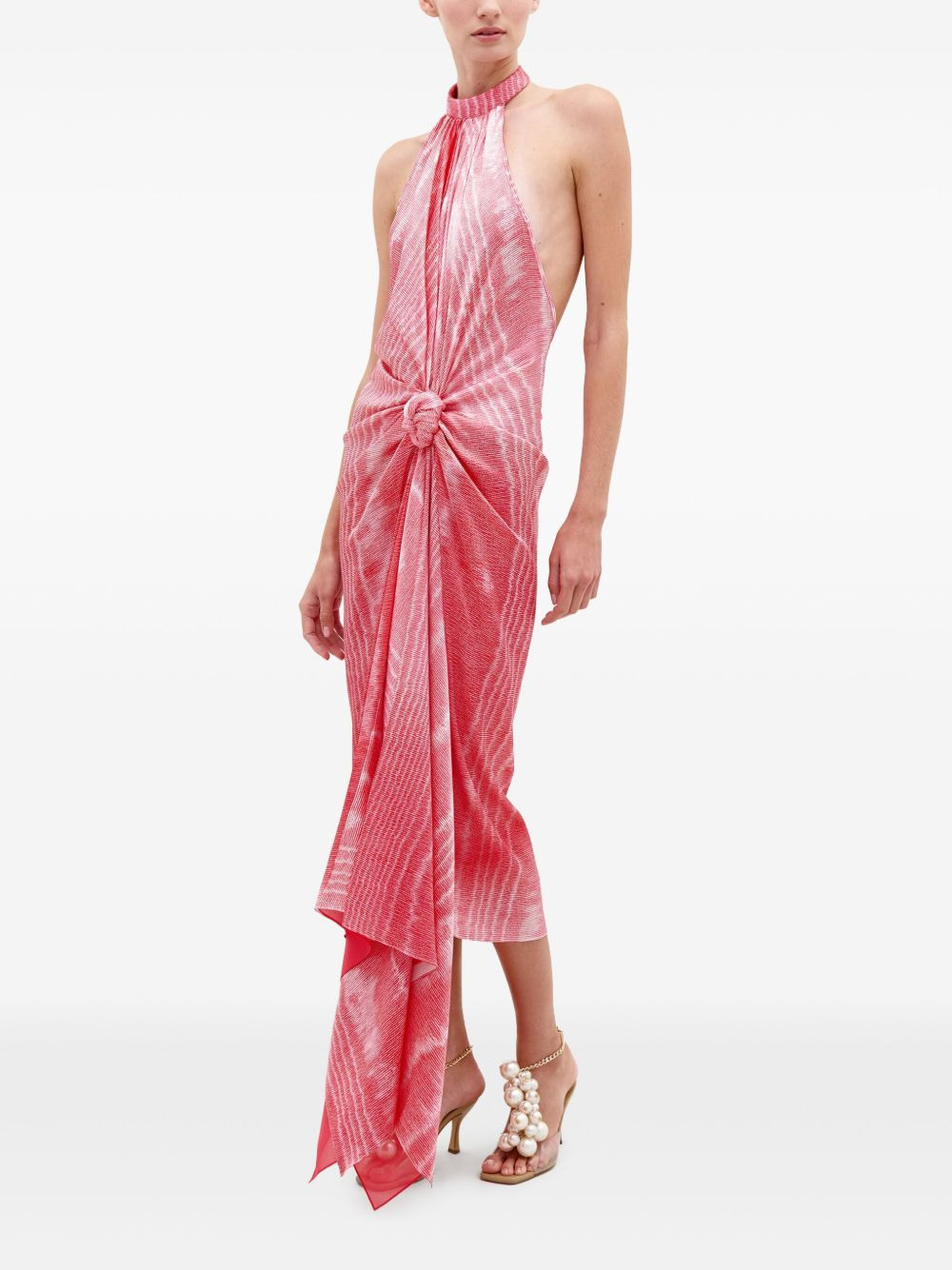 Theodora maxi dress - 2