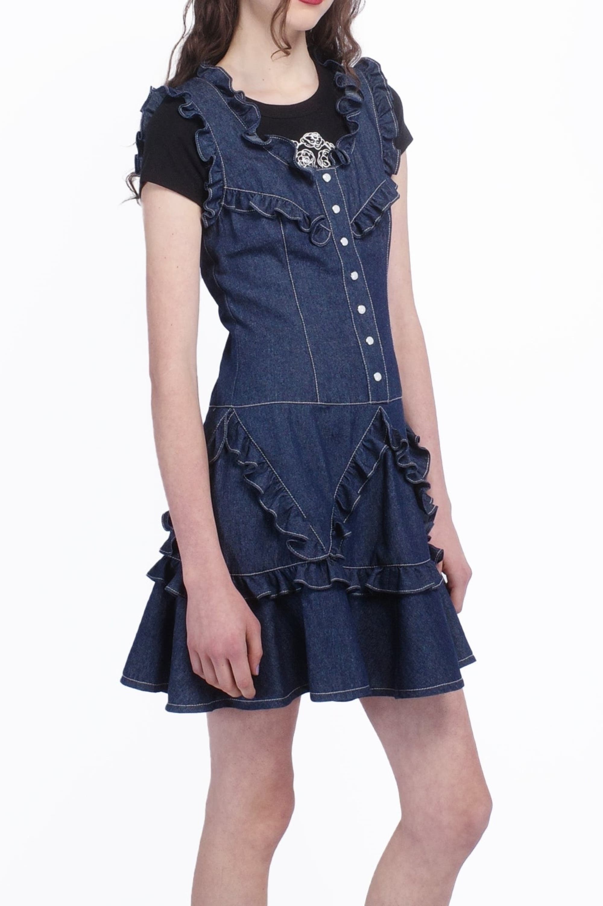 Anna Sui Denim Ruffle Dress at Nordstrom - 3