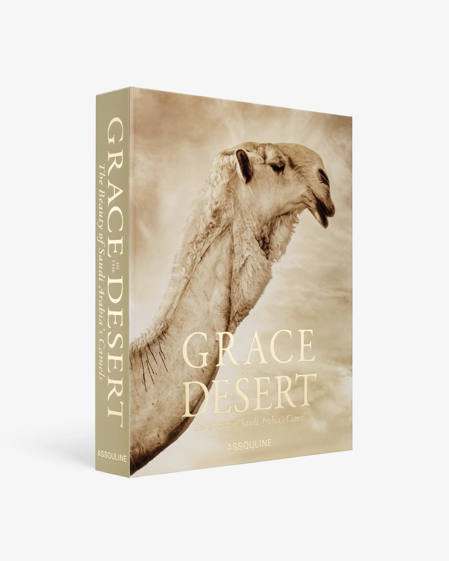 Grace in the Desert: The Beauty of Saudi Arabia's Camels - 1