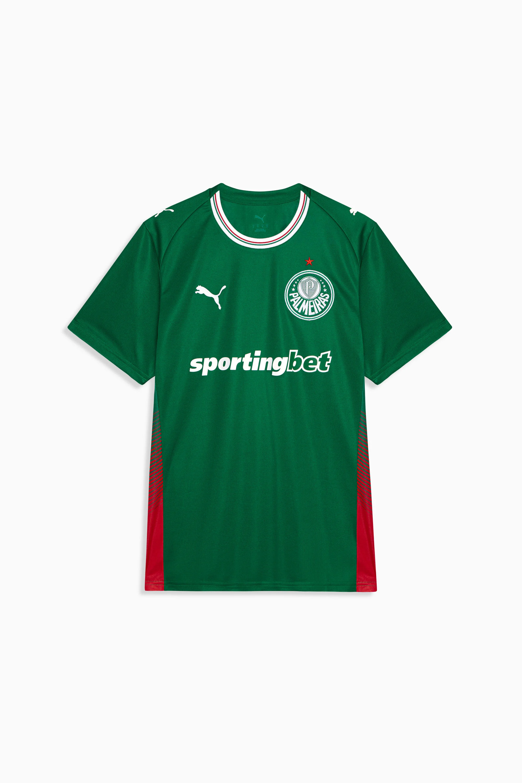 Palmeiras Torcedor 2026 Home Men's Soccer Jersey - 1