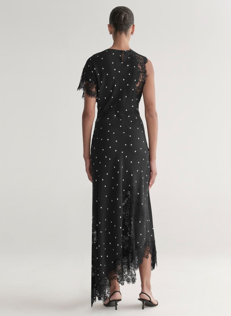 Alessia Polka Dot Crepe and Lace Maxi Dress 6