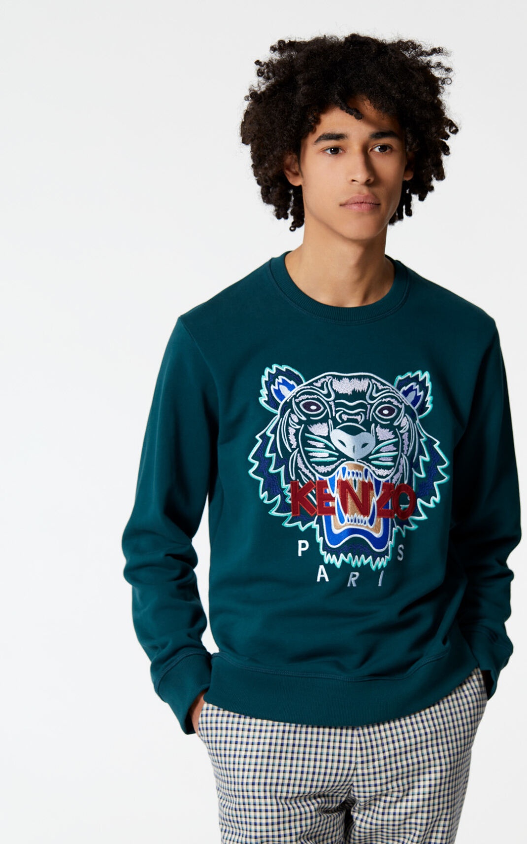 Tiger sweatshirt - 2