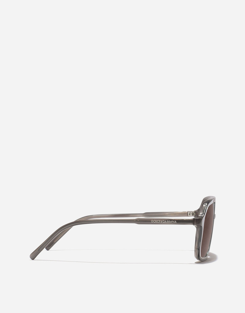 Everyday Sunglasses 3