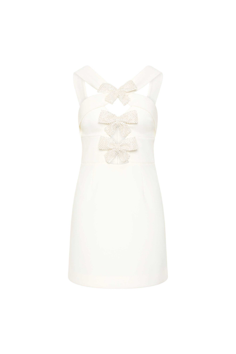 Hermoine Mini Dress 1