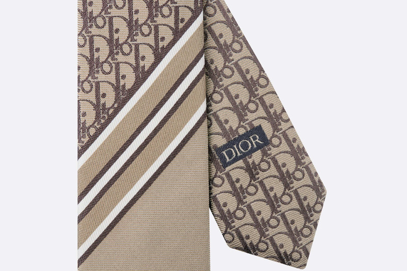 Striped Dior Oblique Tie 4