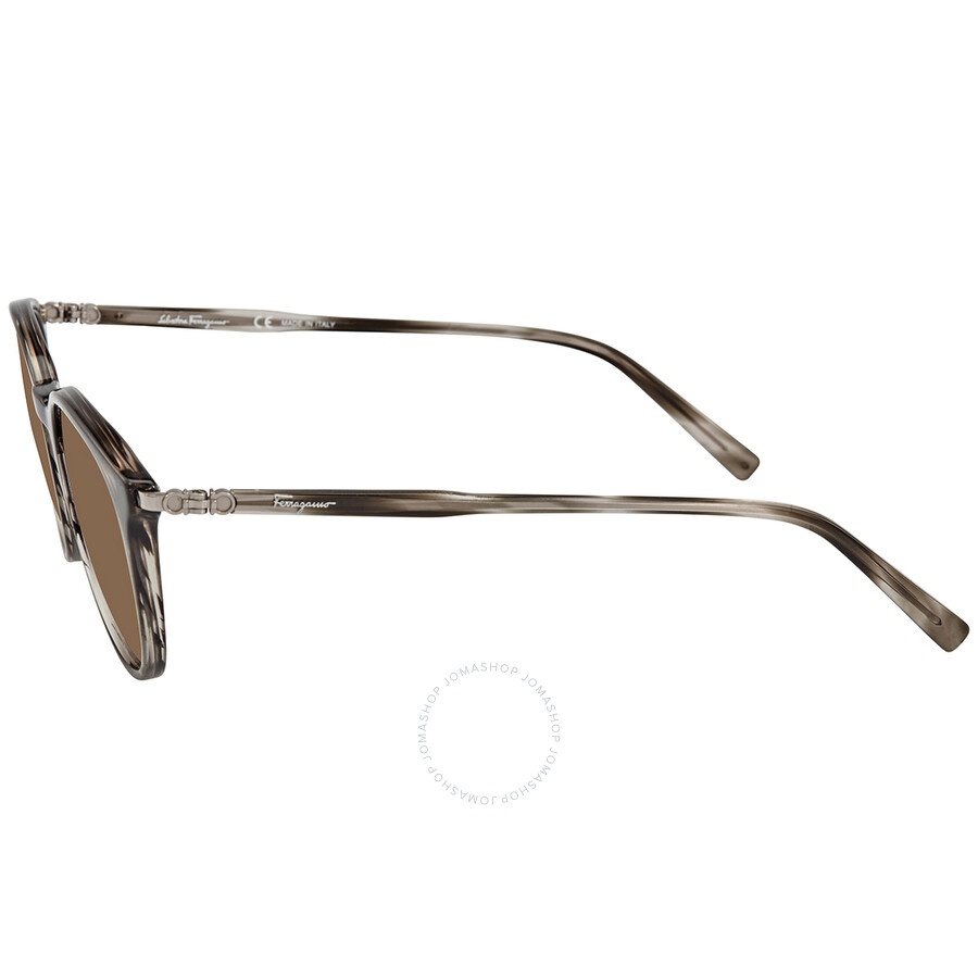 Salvatore Ferragamo Brown Round Ladies Sunglasses SF911S 003 53 - 3