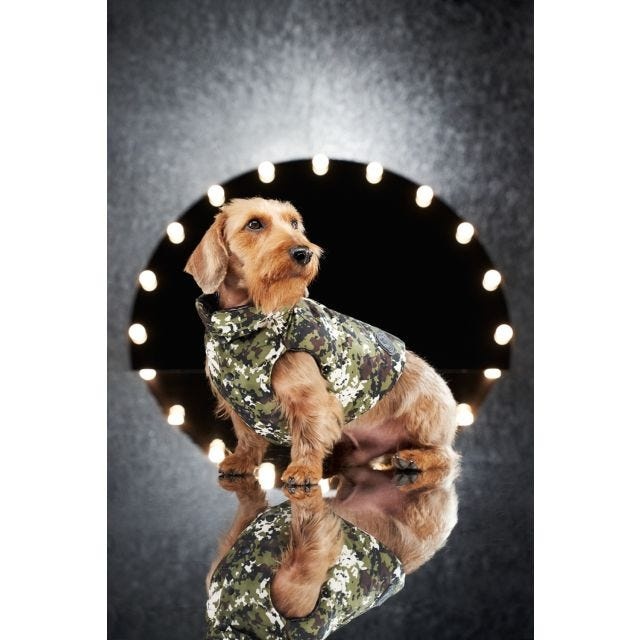 Moncler - Poldo Dog Couture Mondog vest - 2