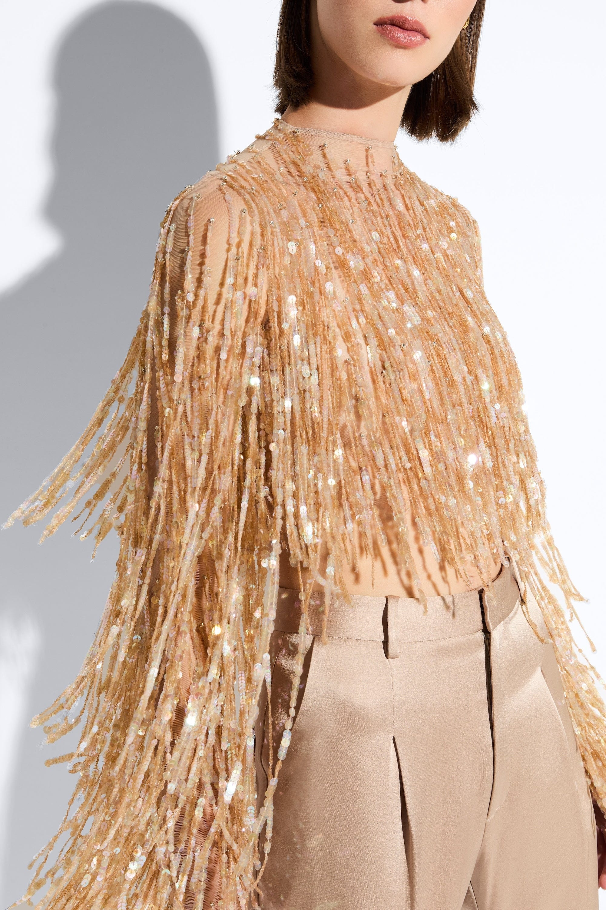 Fringe Sequin Cropped Top - 4