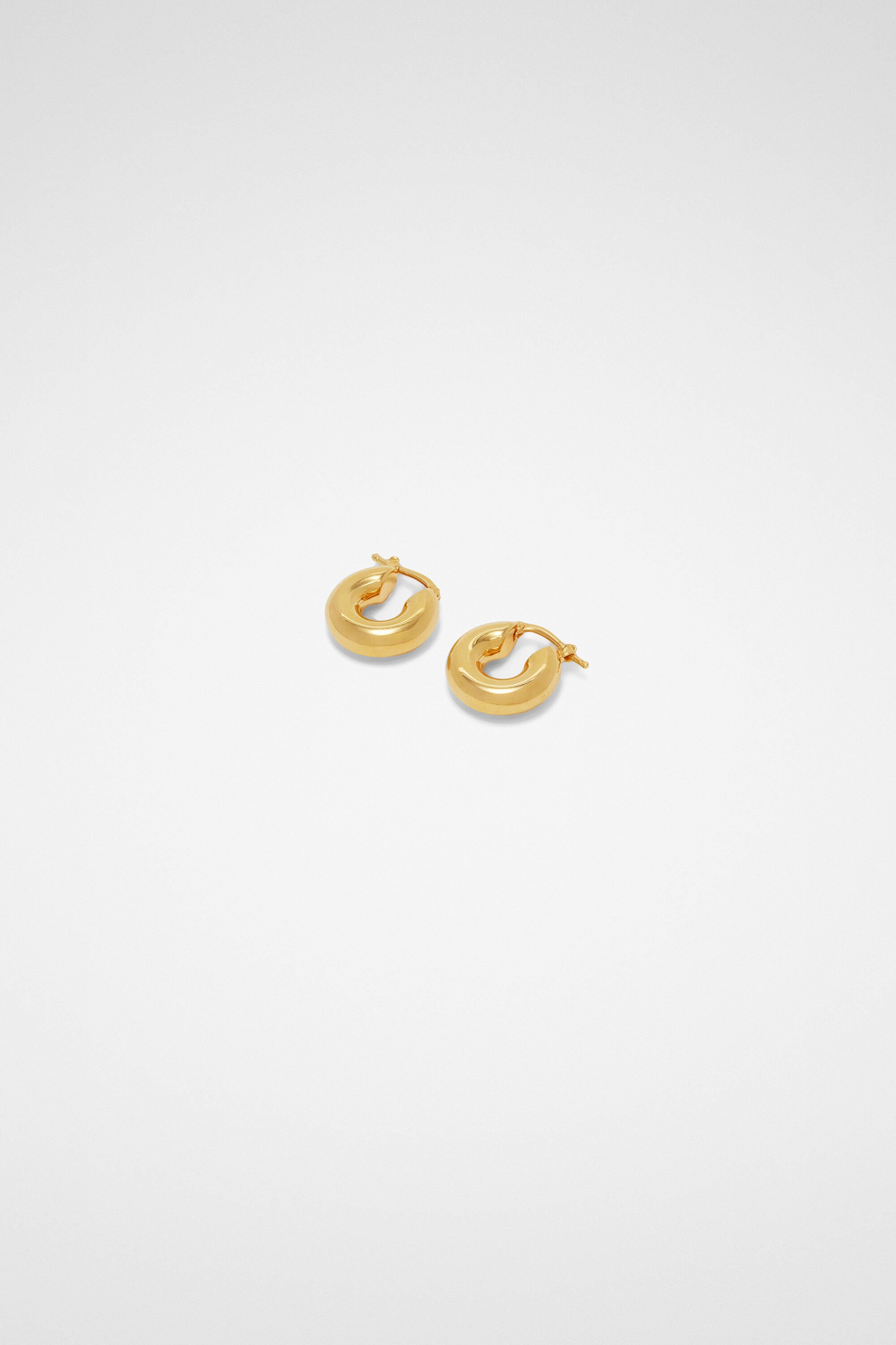 Earrings - 2