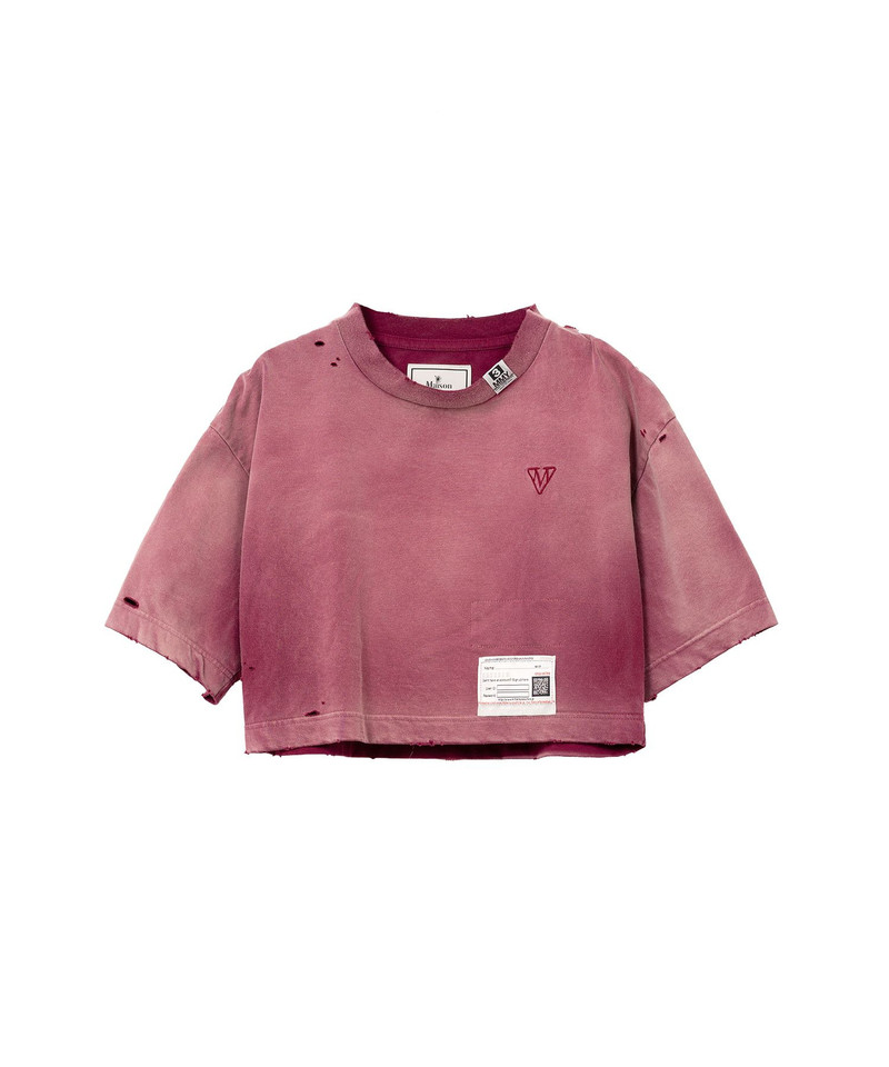 Sun Faded Like Crop T-shirt 23