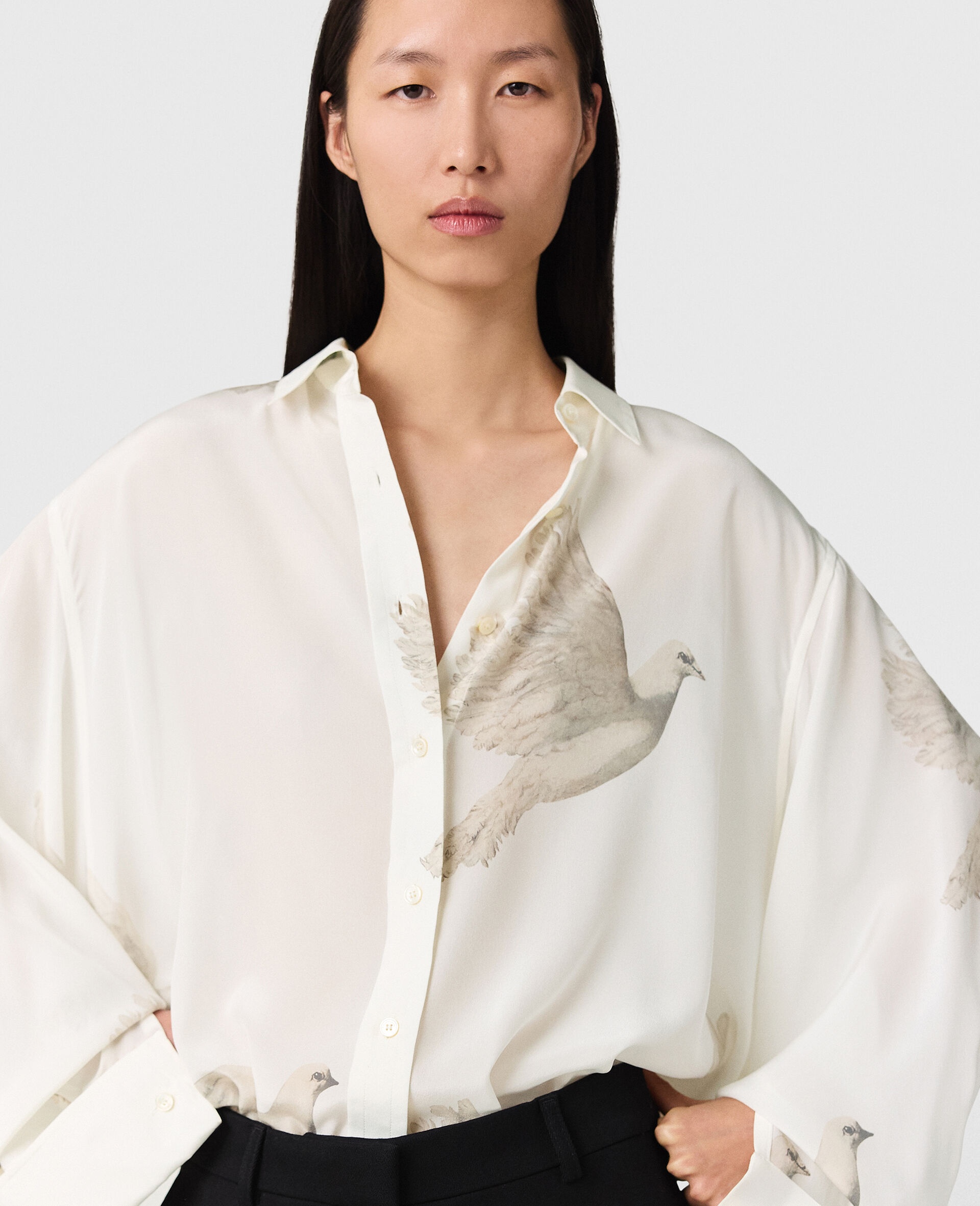 Oversized Sheer Dove Print Shirt - 4