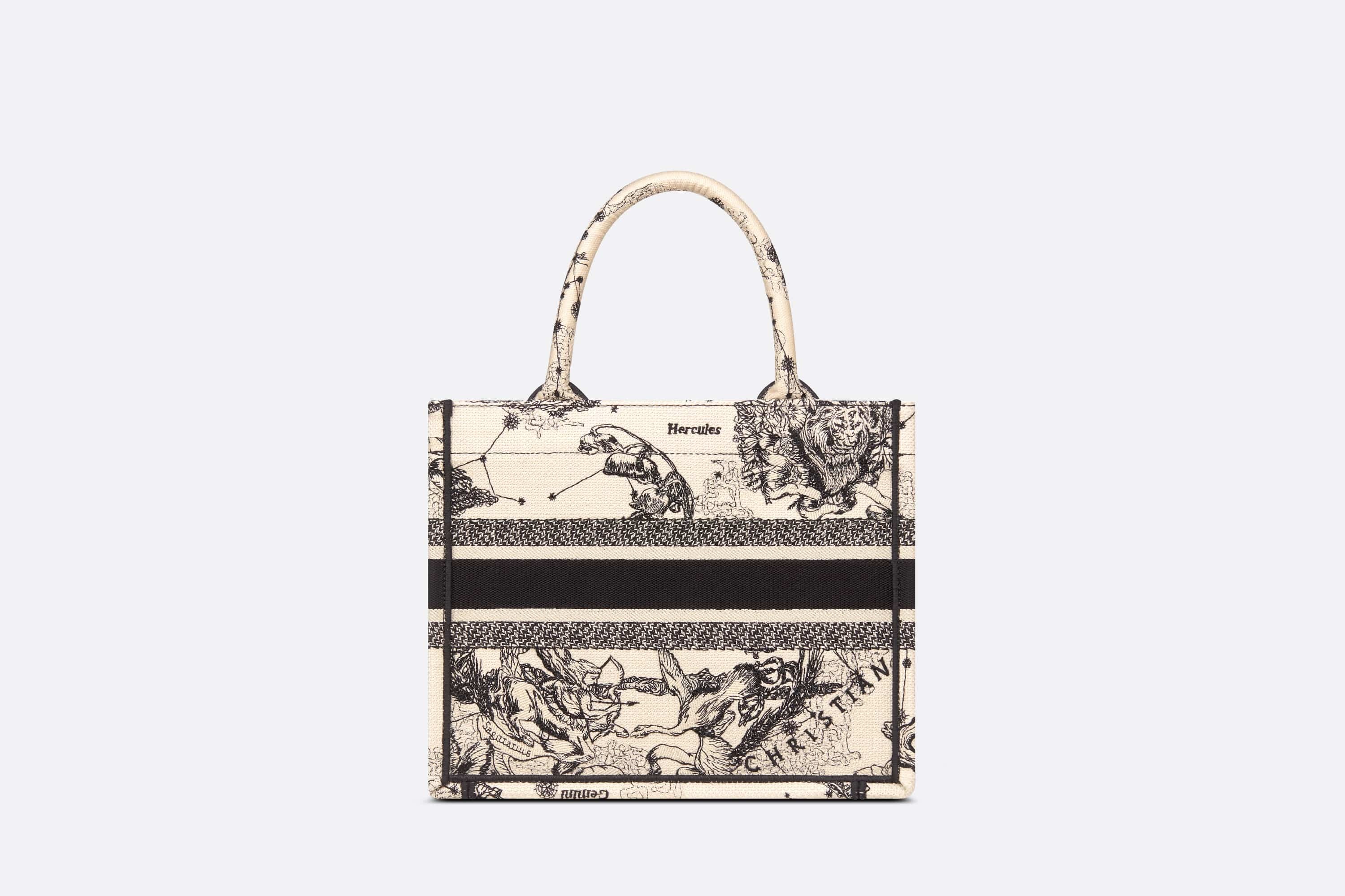 Small Dior Book Tote - 2
