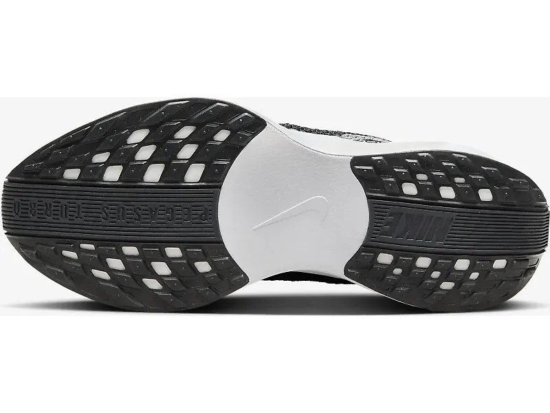 Nike Pegasus Plus - 5