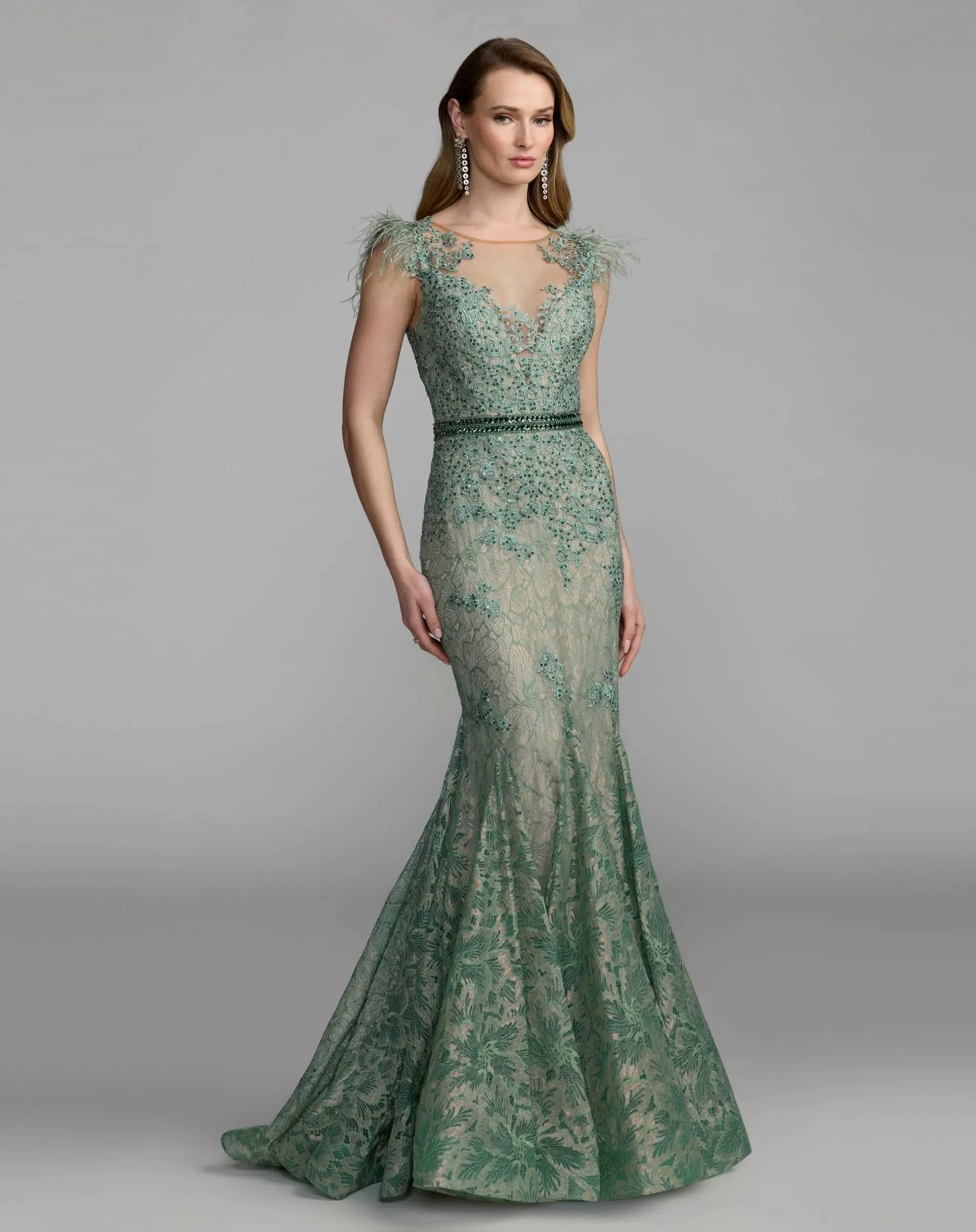 Sage Embellished Lace High Neck Gown With Feather Sleeves - 1