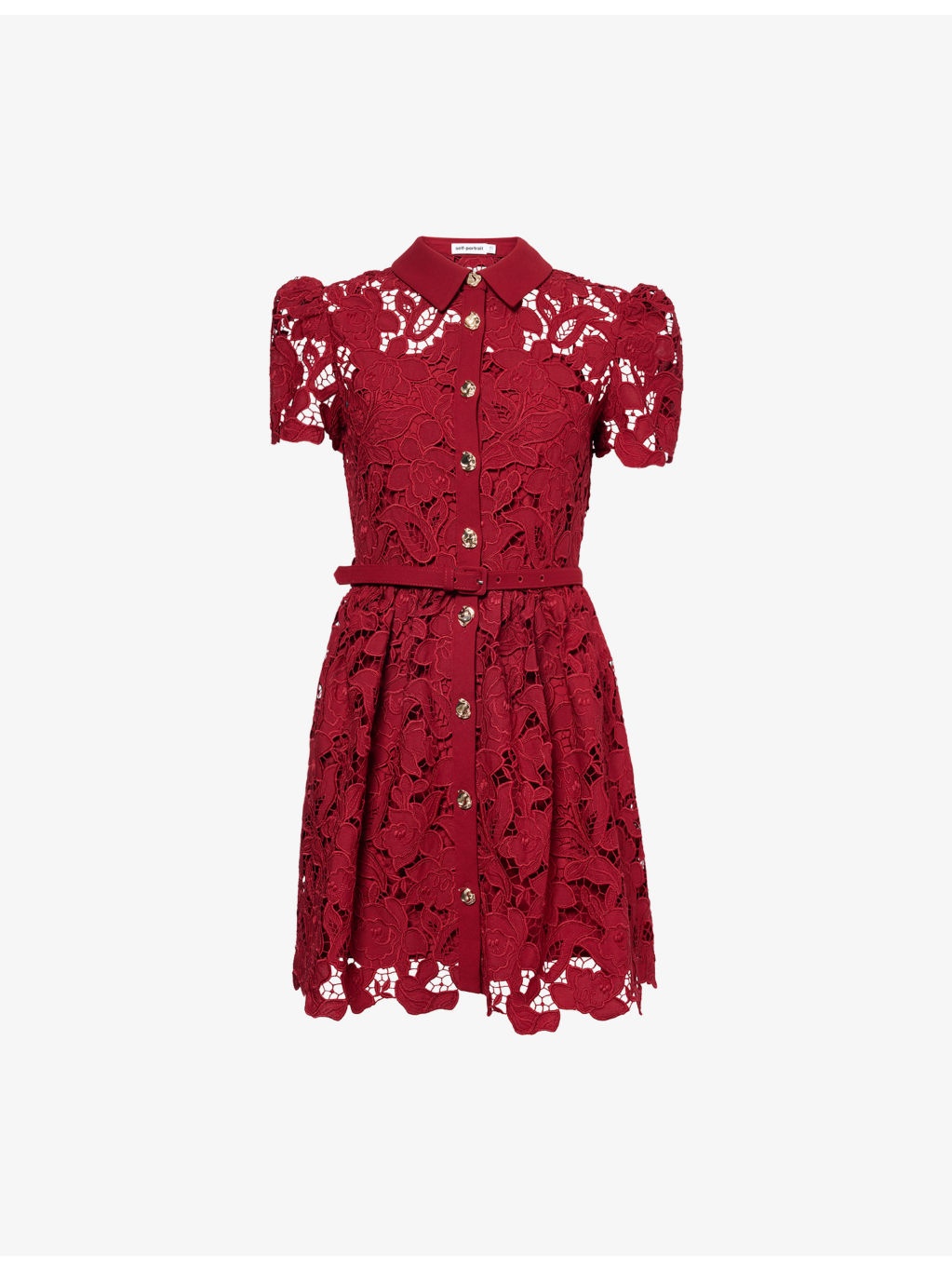 Embroidered Collared Lace Mini Dress - 1