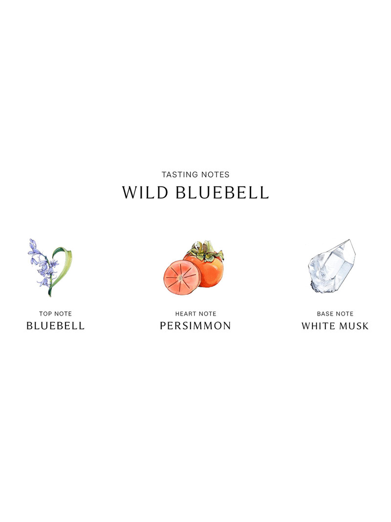 Wild Bluebell Body Creme 3
