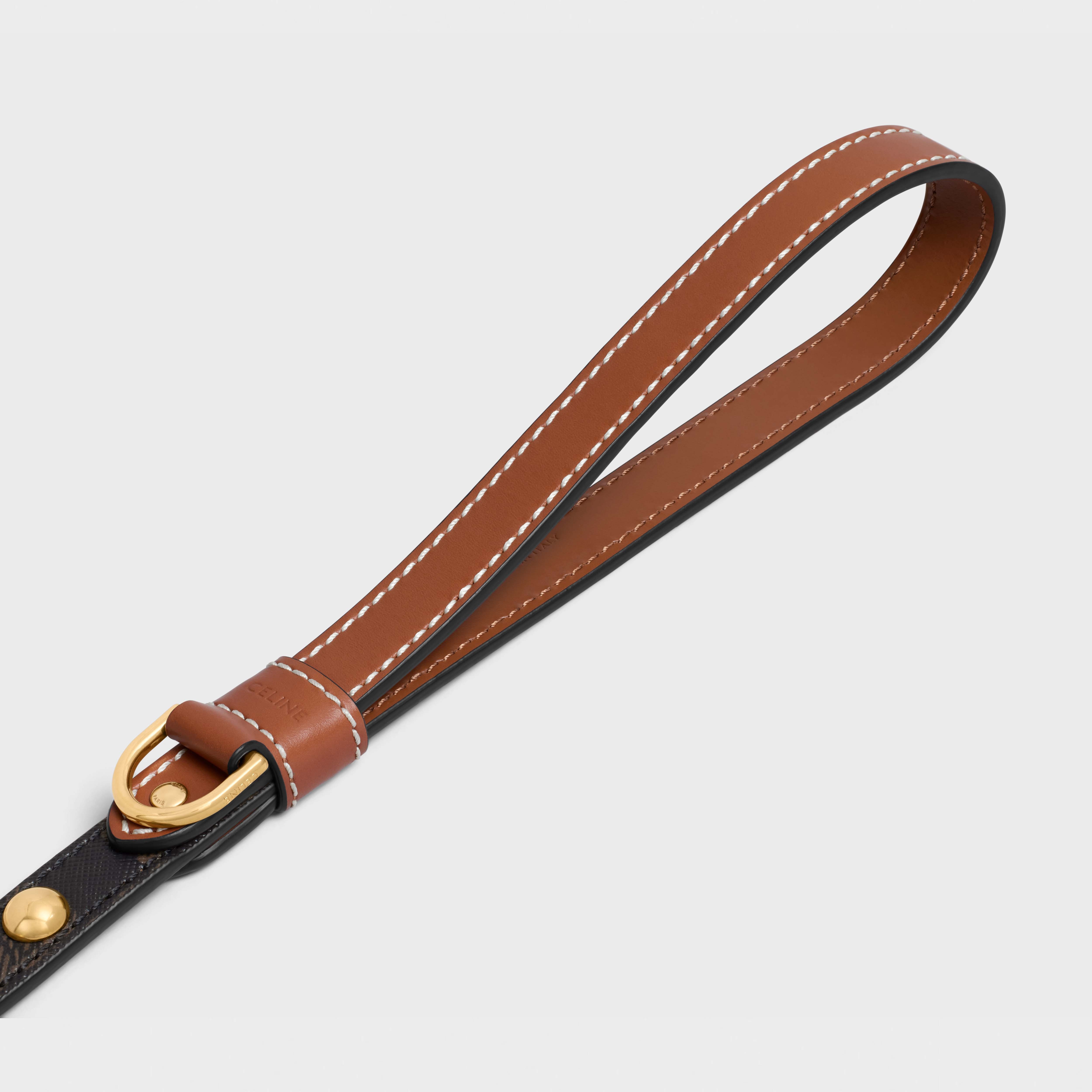 Thin Dog Leash in Triomphe Canvas and Calfskin with studs - 2