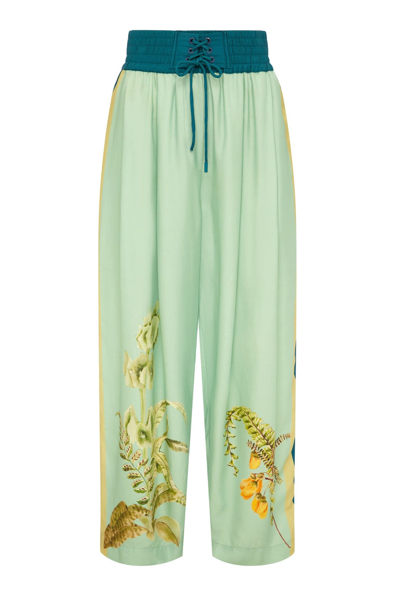 Anita Pant 1