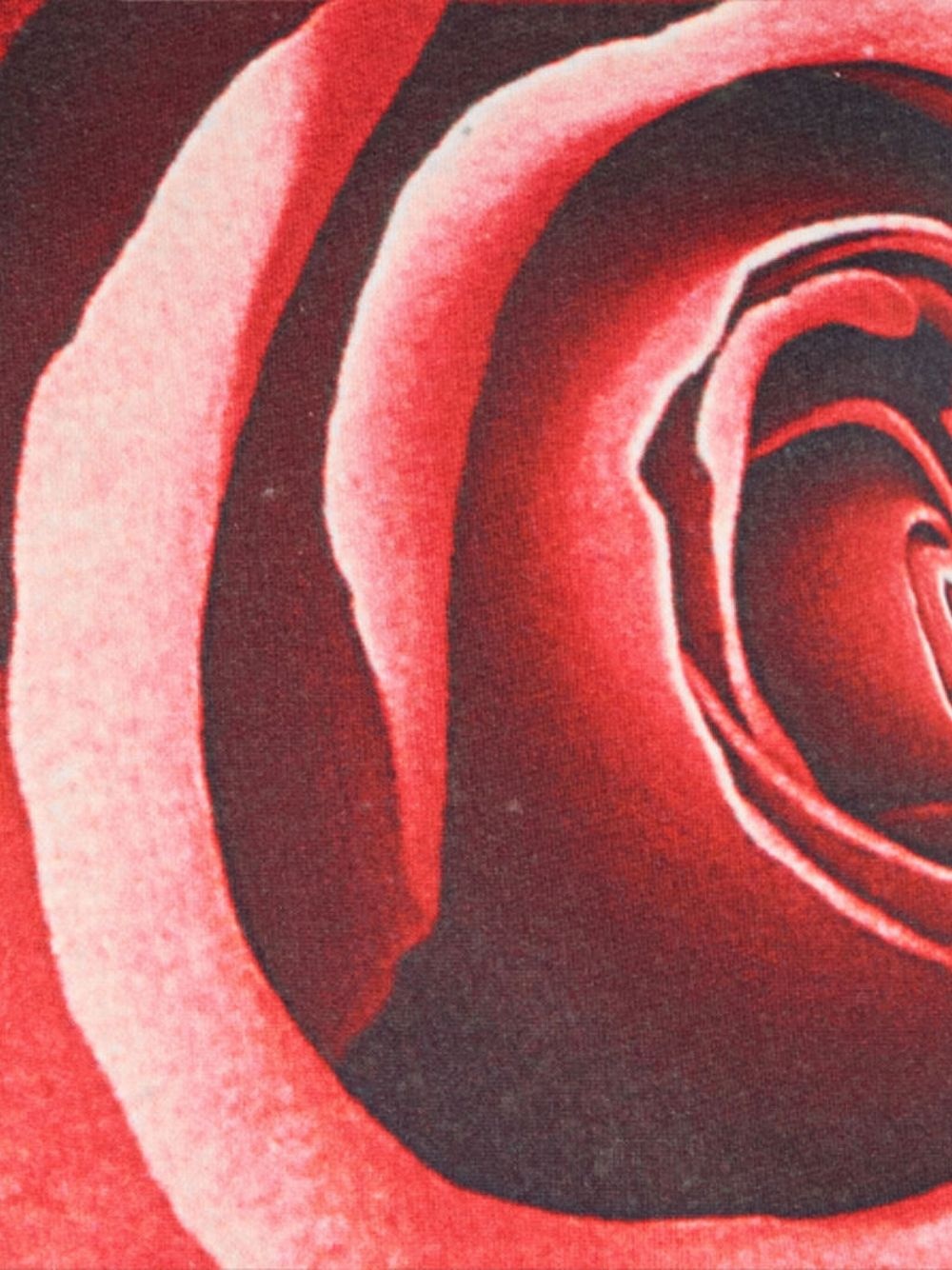 rose-print sweatshirt - 4