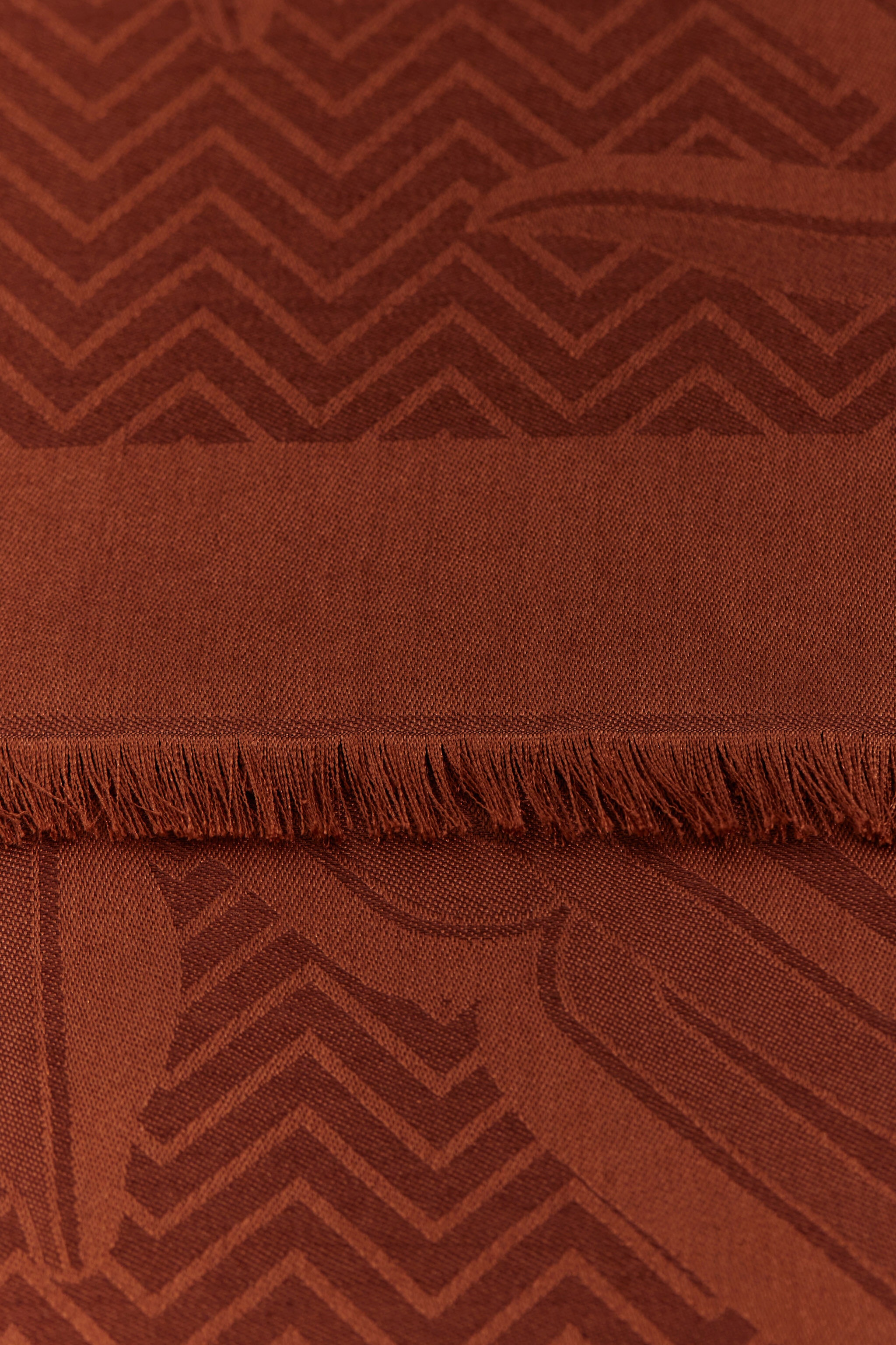 Jacquard Shawl with Mirror Snake Monogram - 2