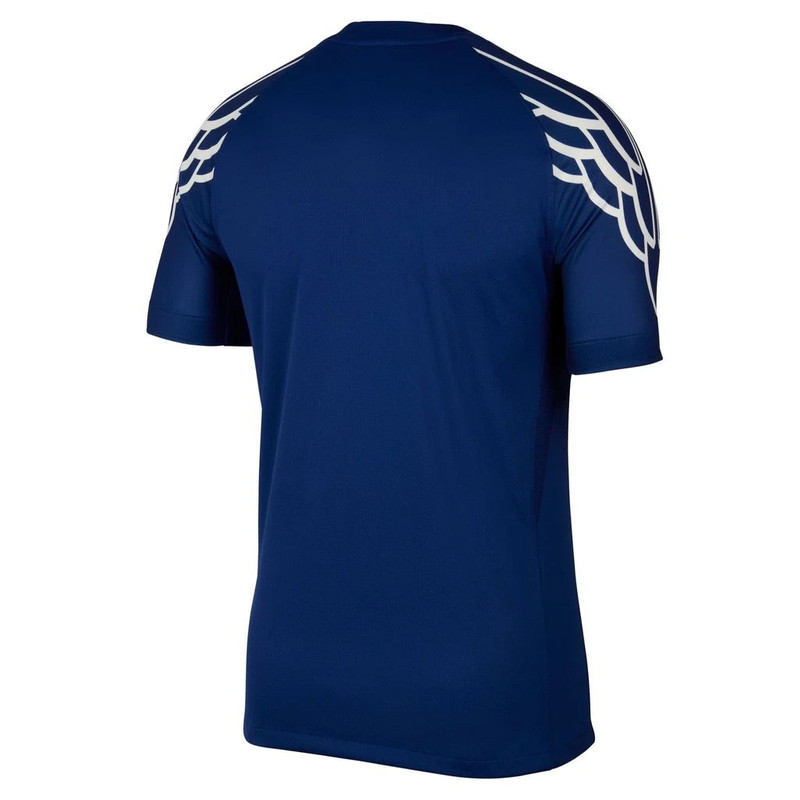 Jordan Air Jordan Dri-FIT Paris Saint-Germain 2024/25 Stadium Fourth Replica Football Jersey 'Blue Void' HJ outlook