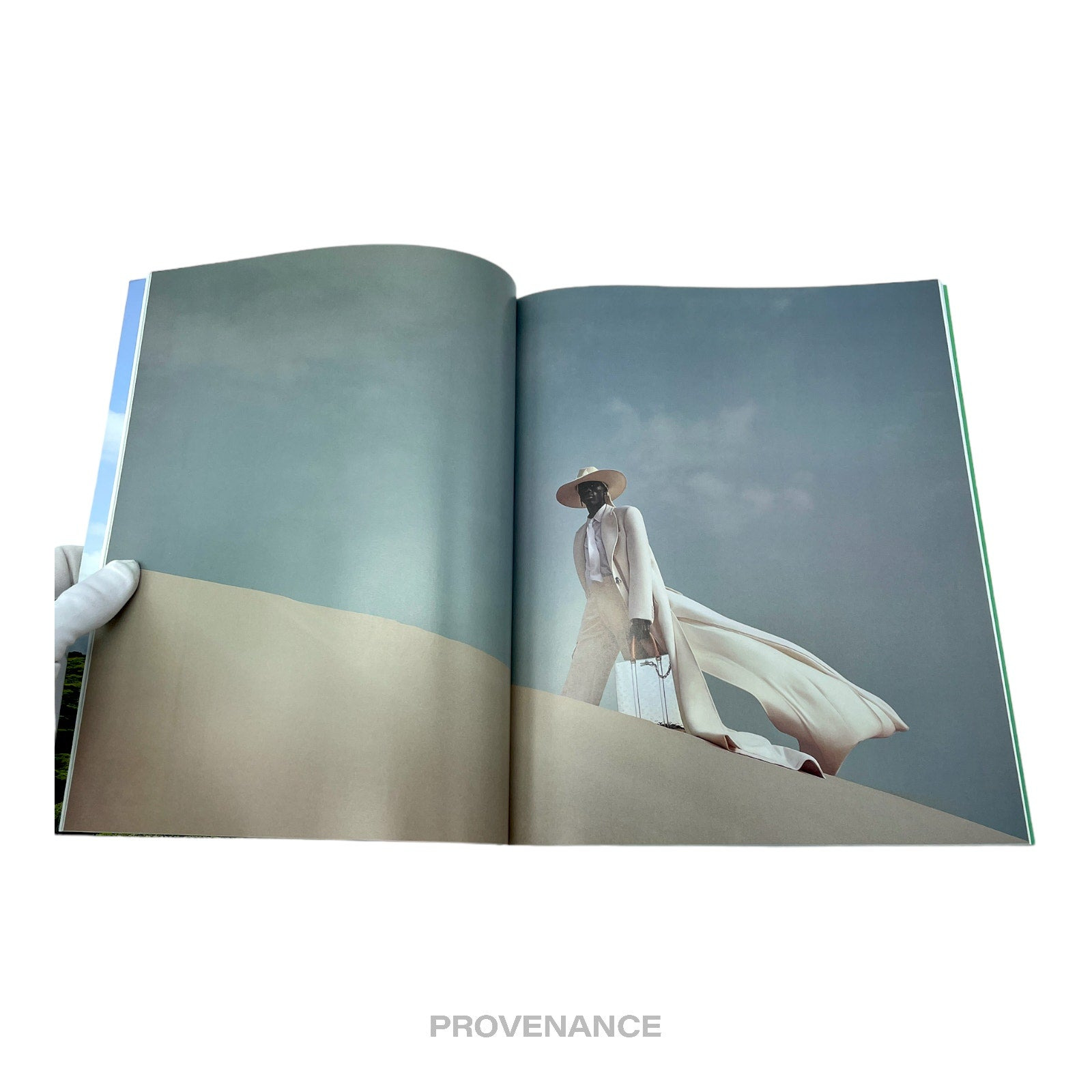 Louis Vuitton The Book #12 - 6