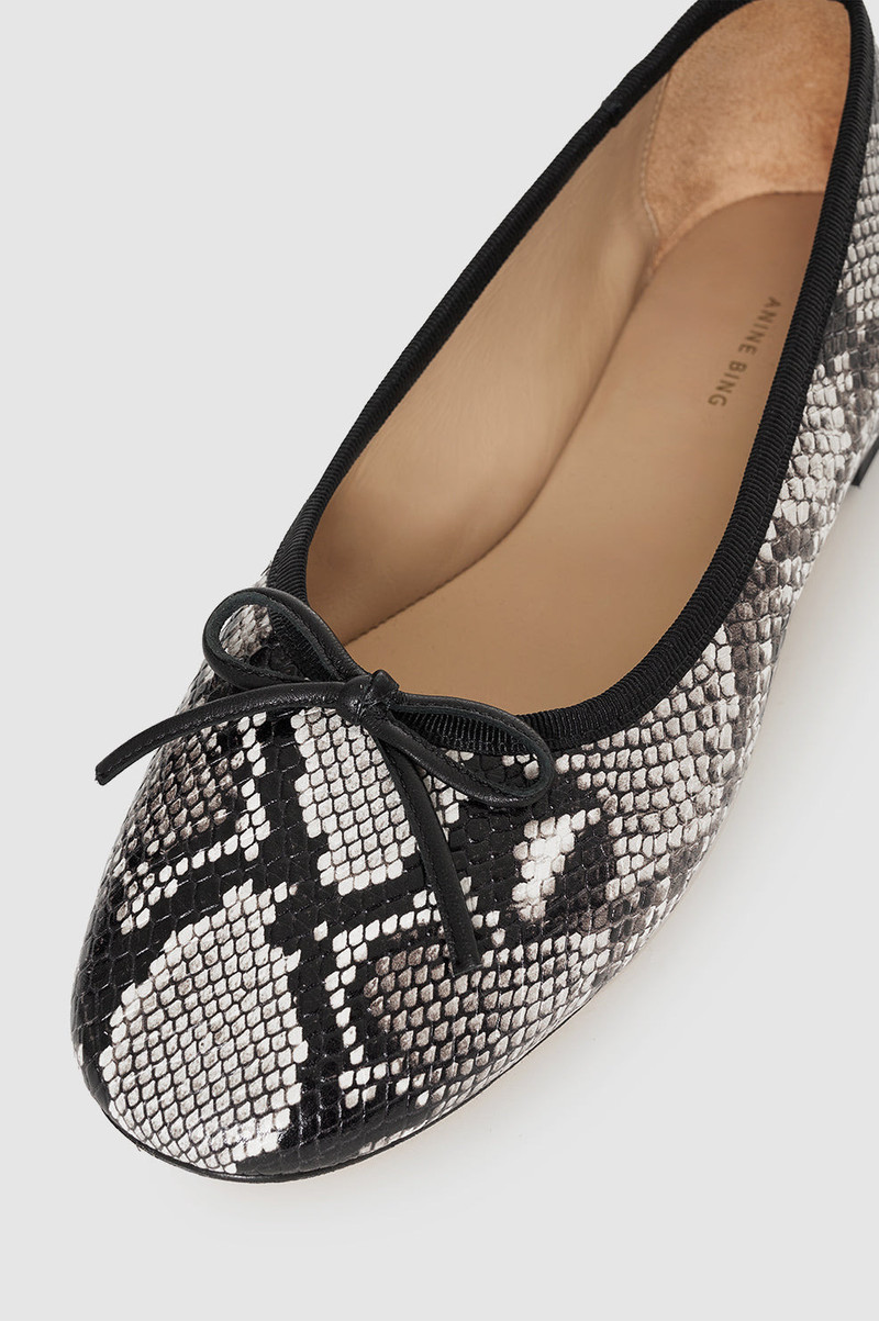 Jamie Flats - Python 5