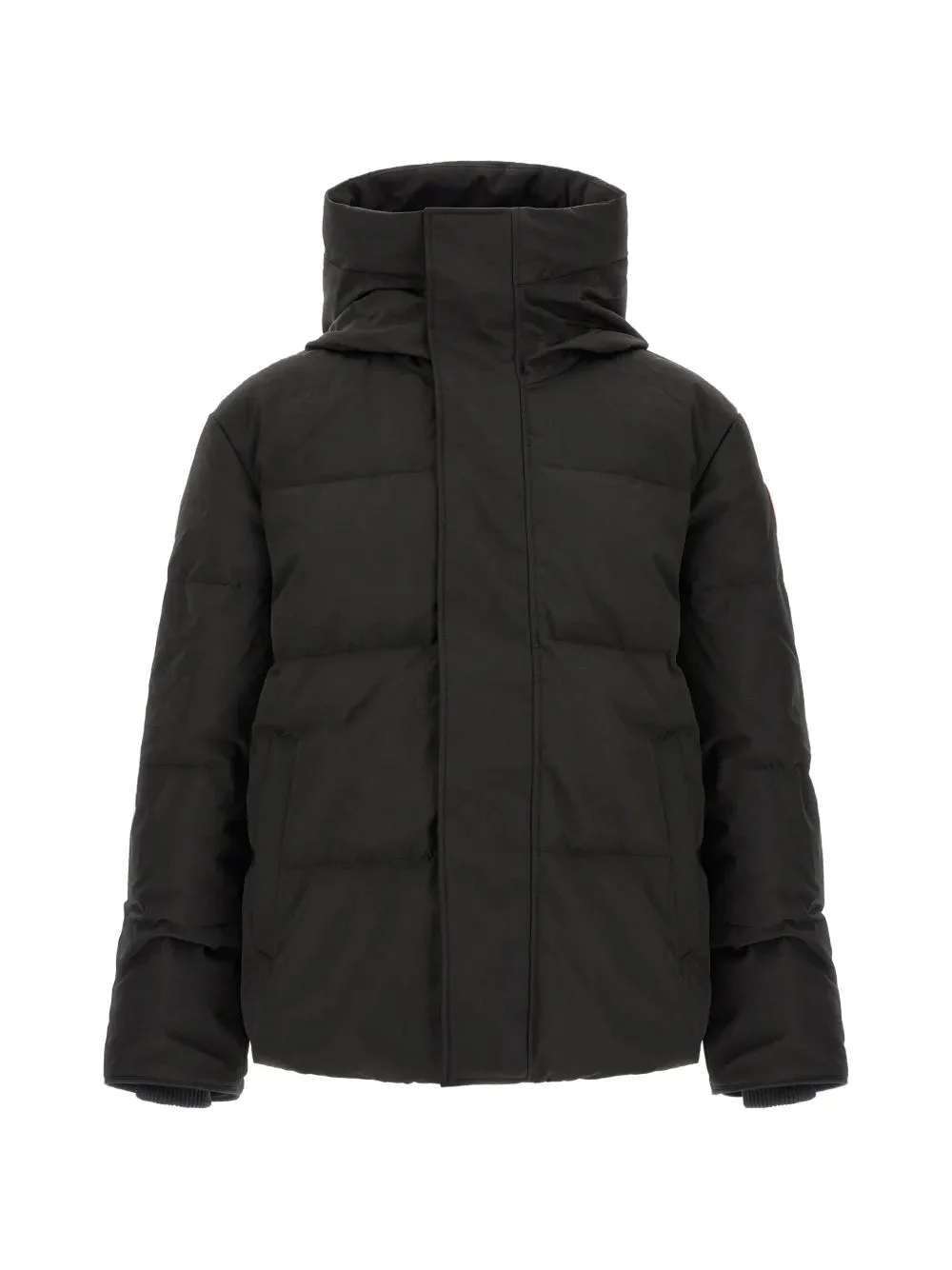 SEYMOUR PADDED JACKET - 1