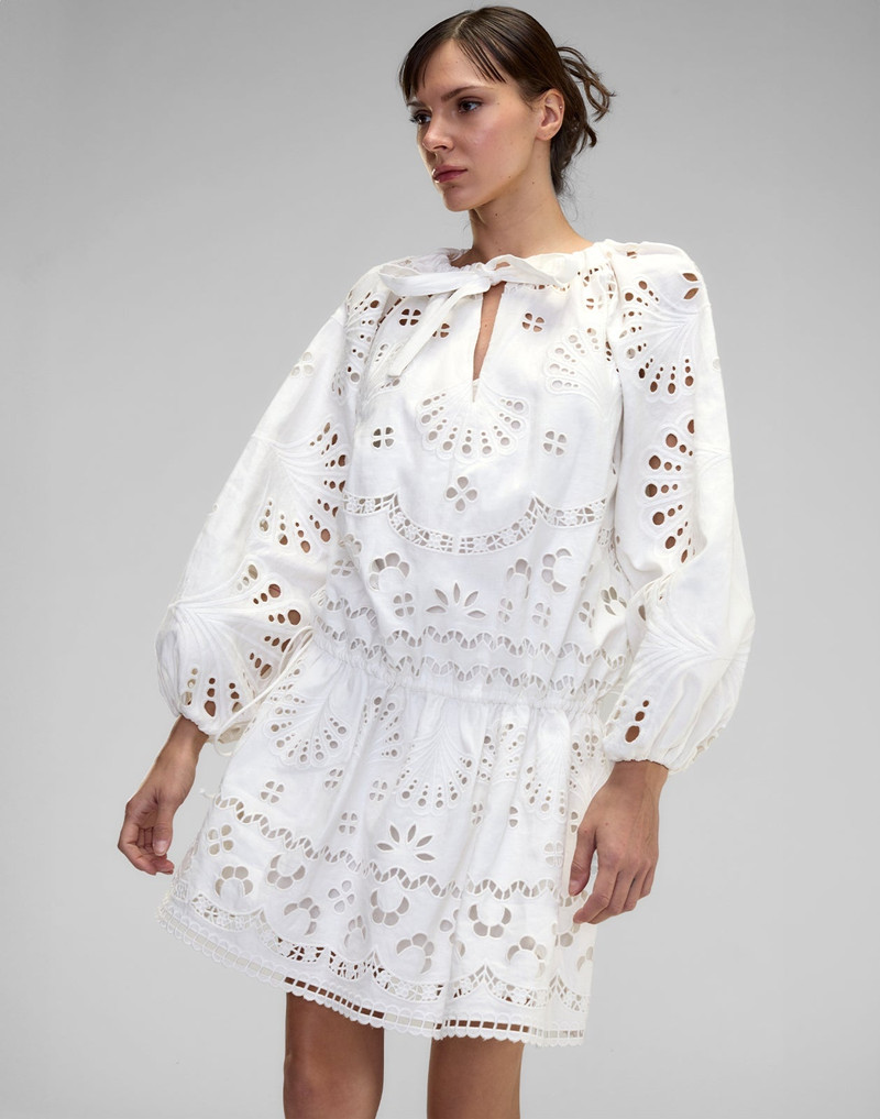 Eva Embroidered Drop Waist Dress 1