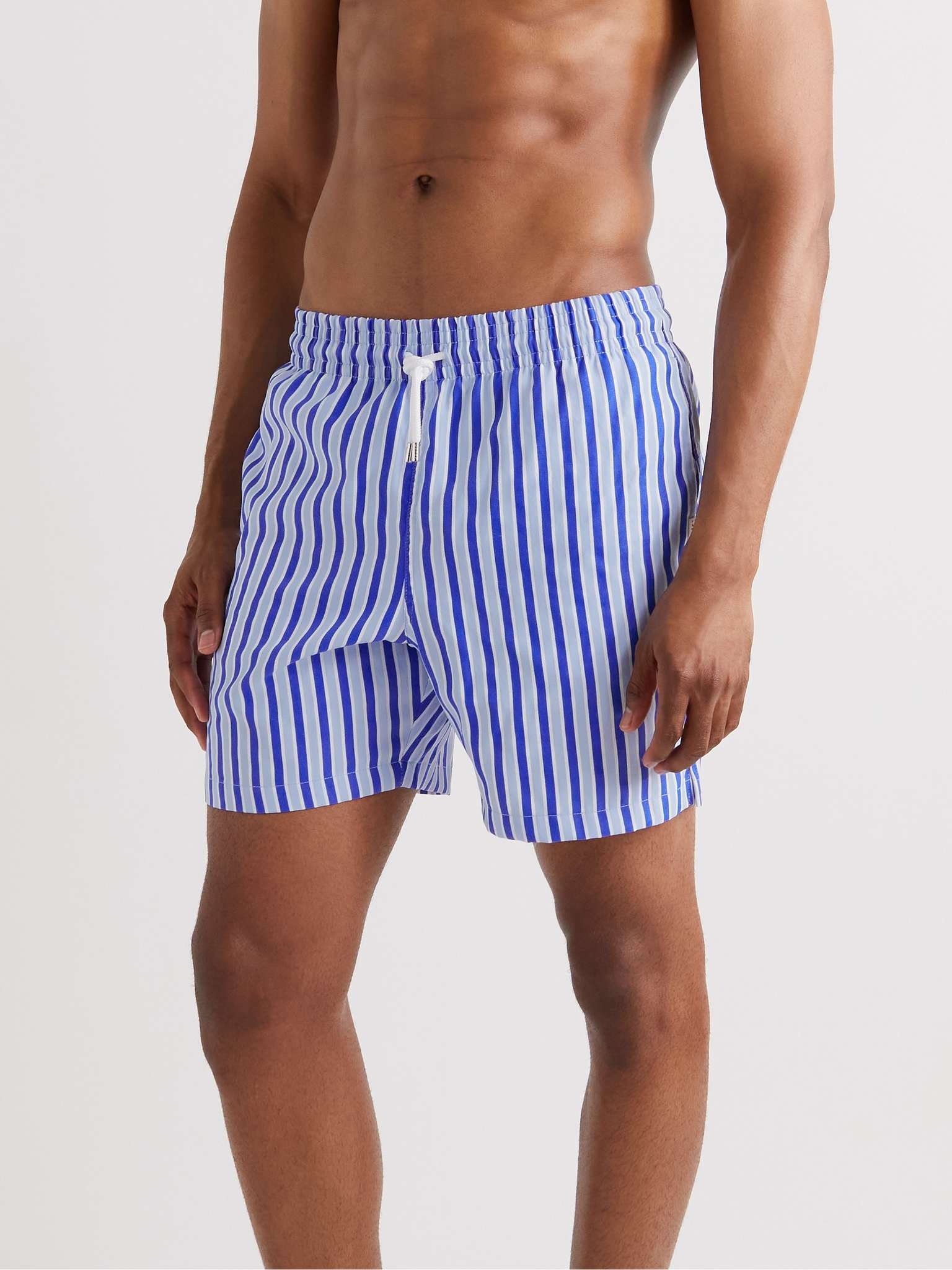 Mid-Length Striped Swim Shorts - 2