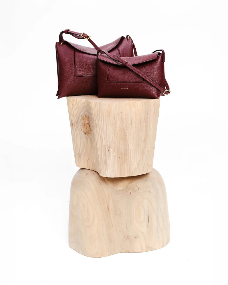 PENELOPE SLOUCH MINI ACAI CRUST 8