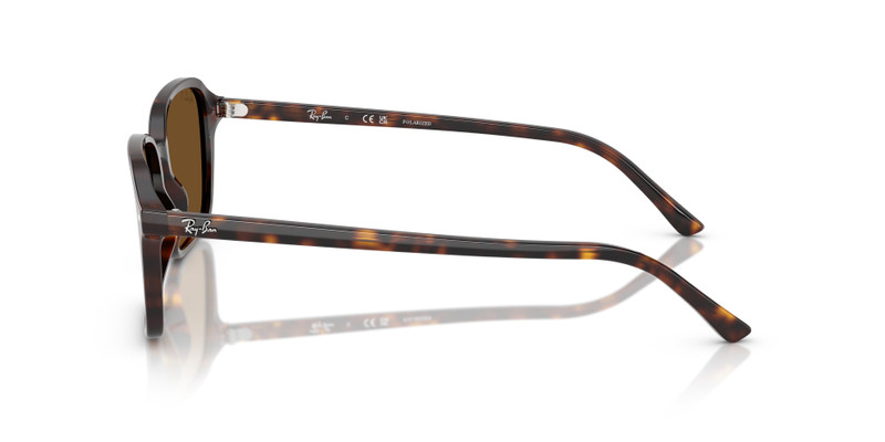 RAIMOND 5