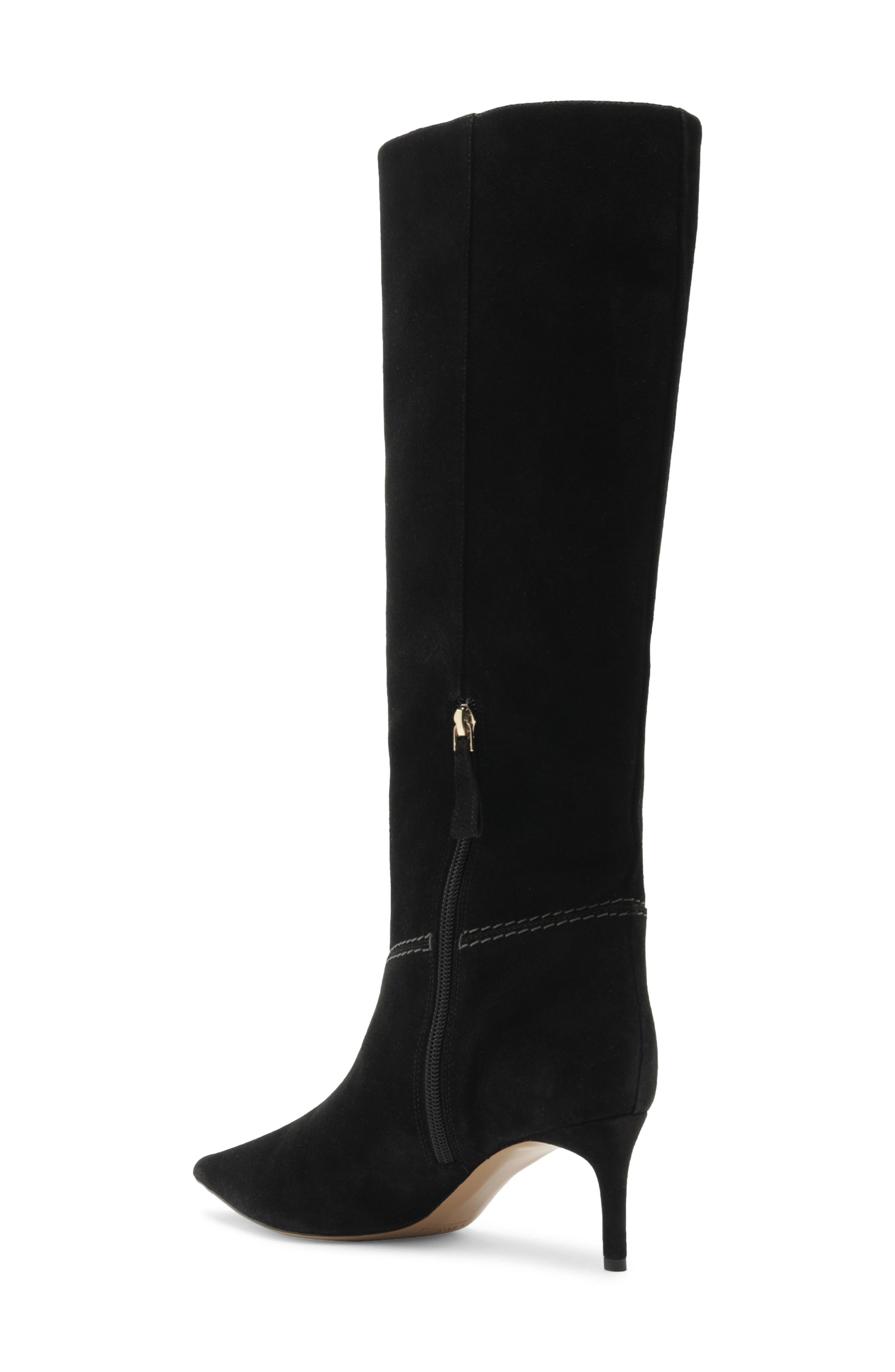 Alexandre Birman Malva Pointed Toe Knee High Boot in Black at Nordstrom - 2