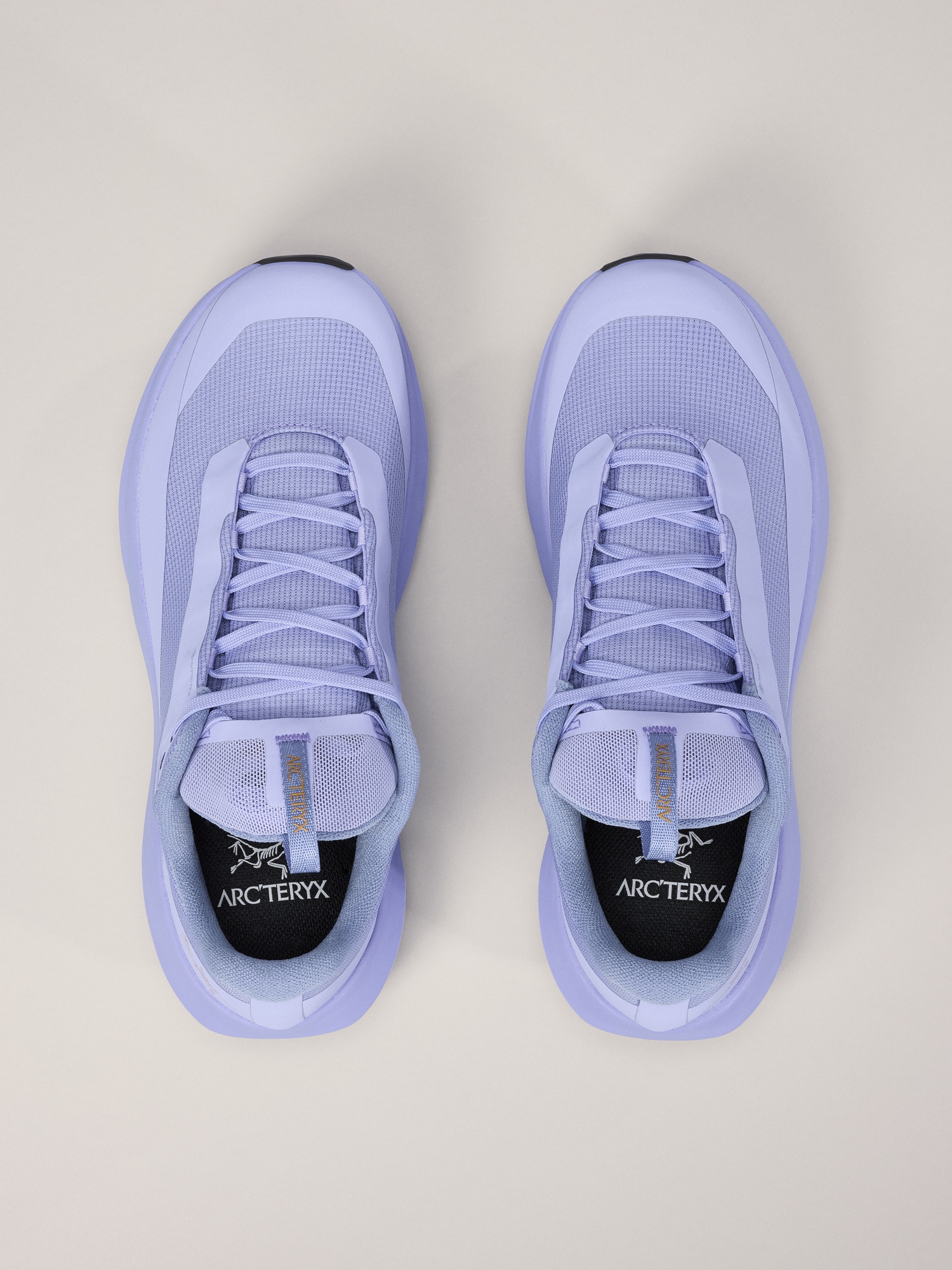 Norvan LD 4 GTX Shoe - 3