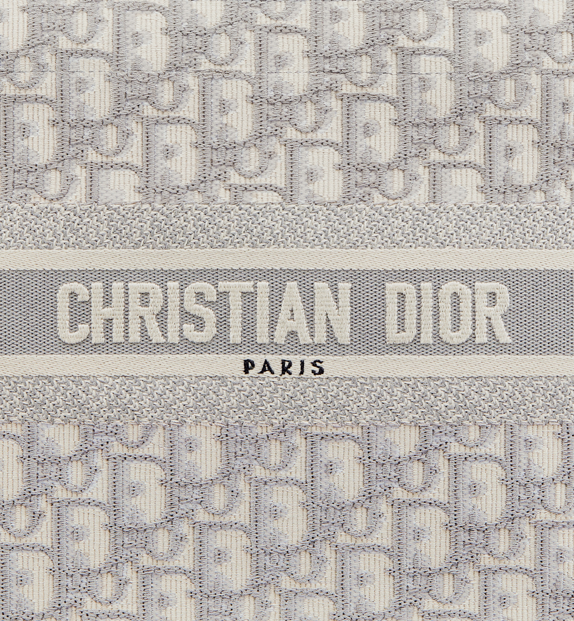Small Dior Book Tote - 6