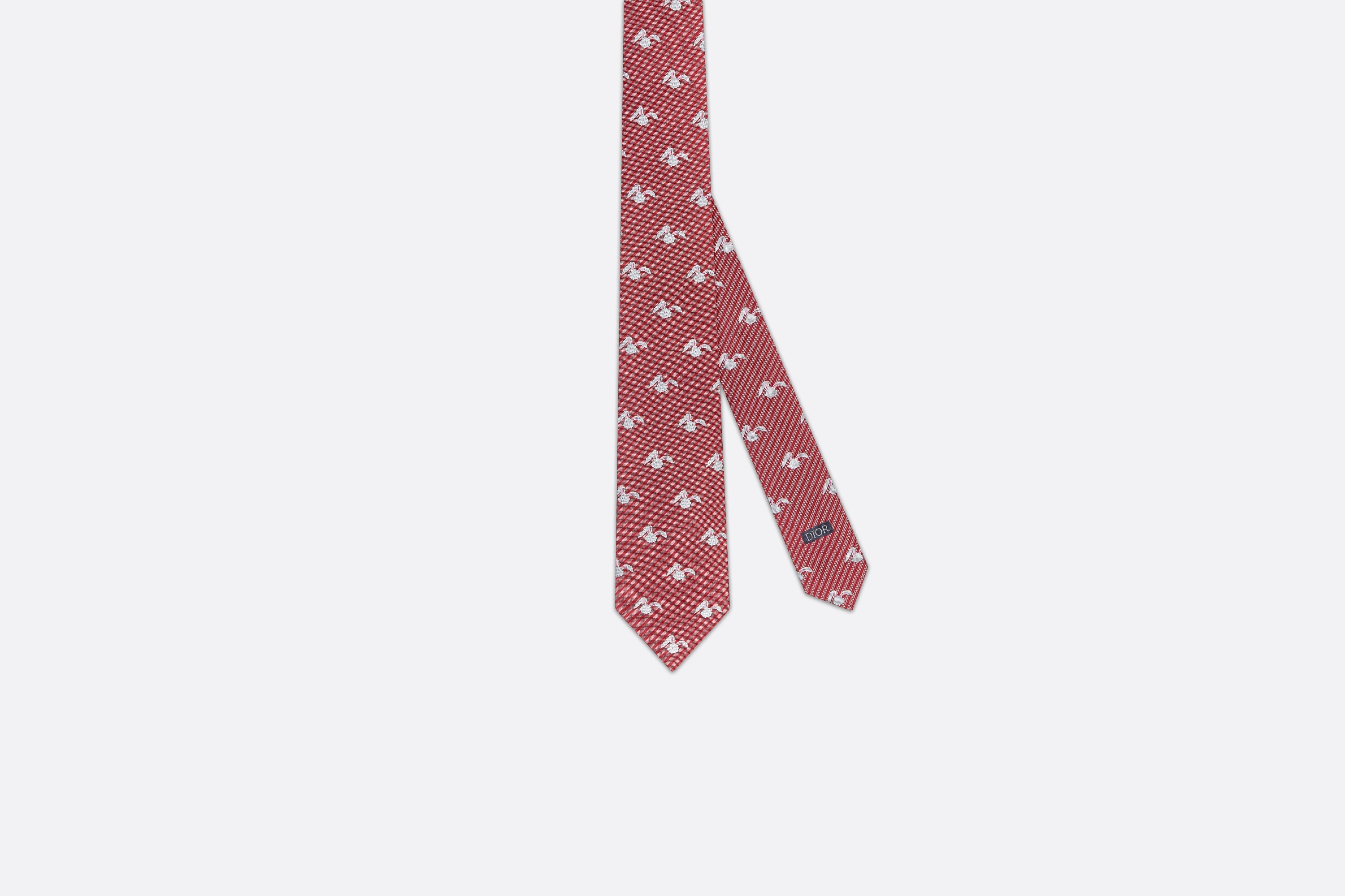 DIOR BY ERL Tie 1