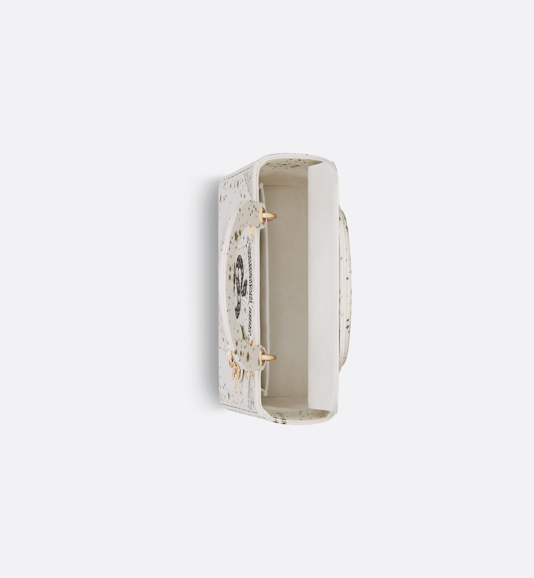 Medium Lady Dior Bag - 4