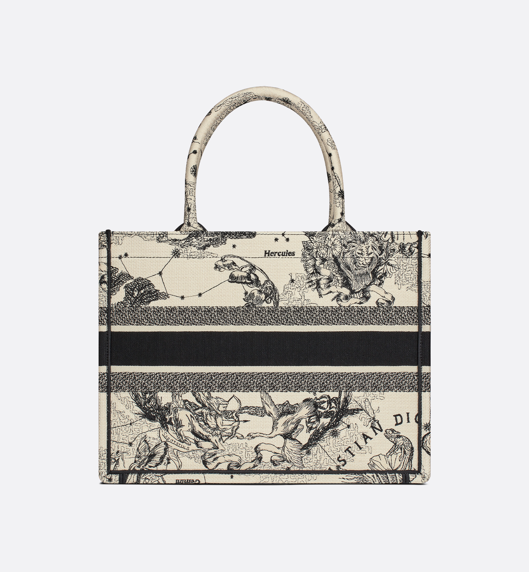 Medium Dior Book Tote - 3